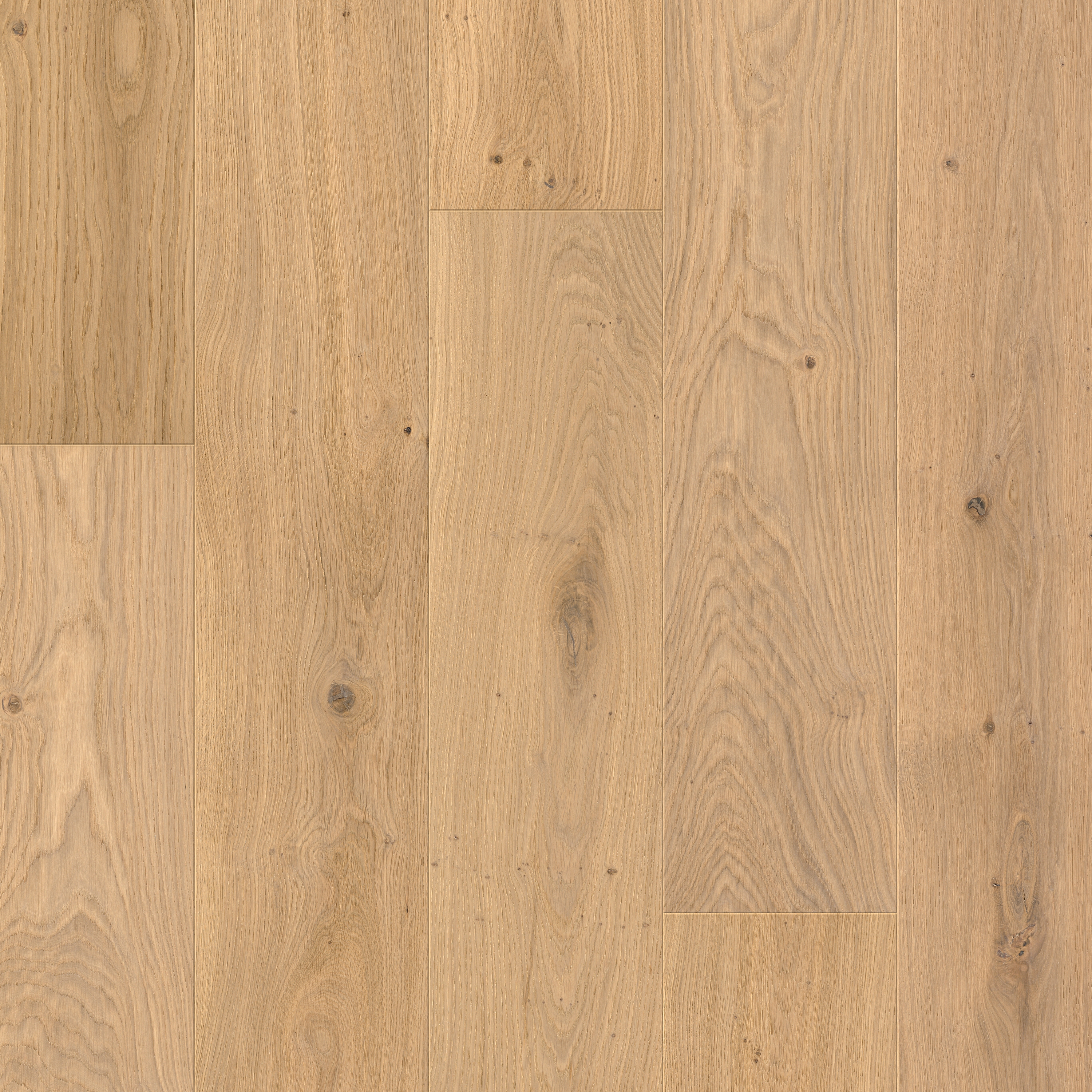 Produkt Svalbard sublime oak des Herstellers Pergo anzeigen