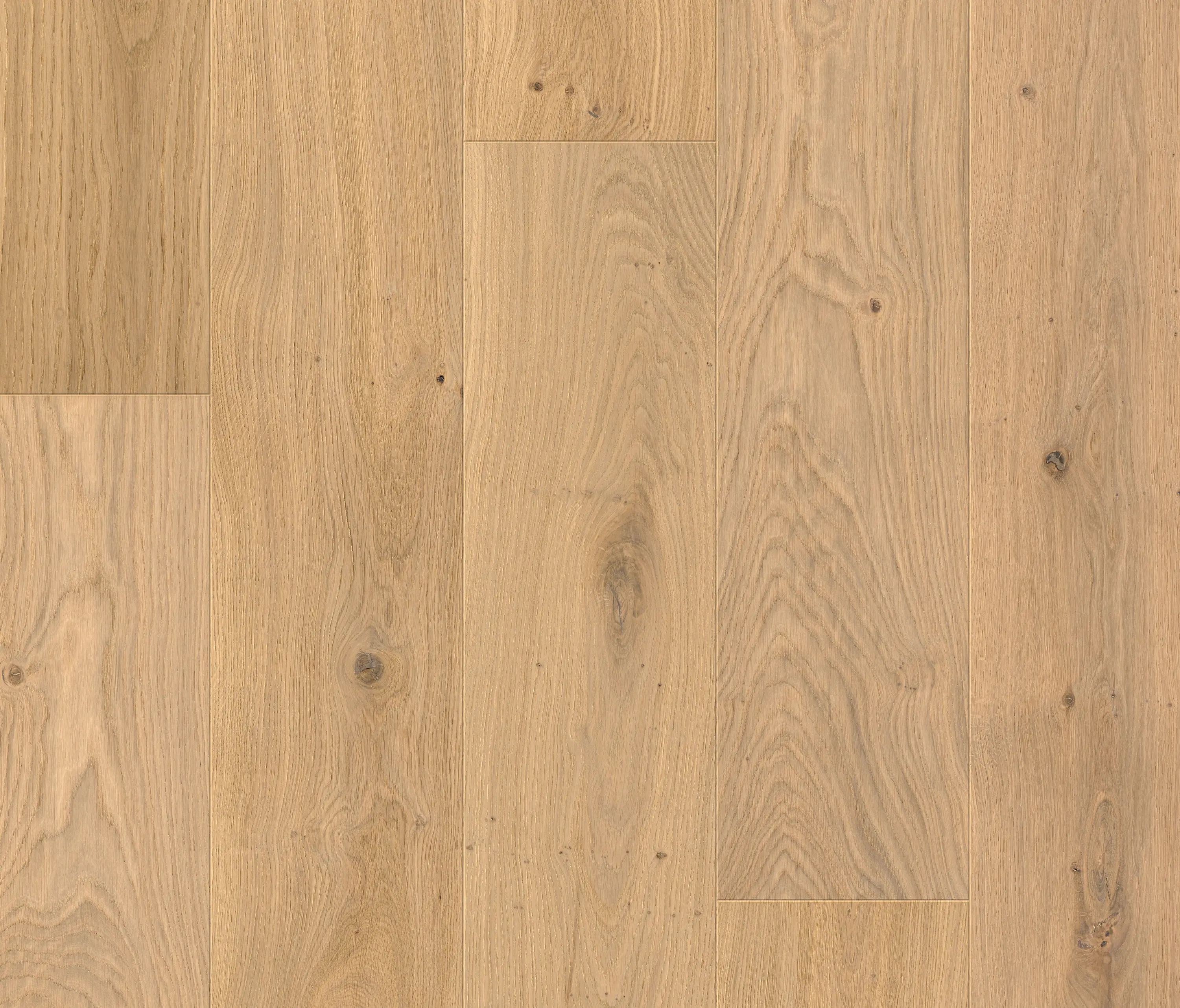 Pergo - Svalbard sublime oak