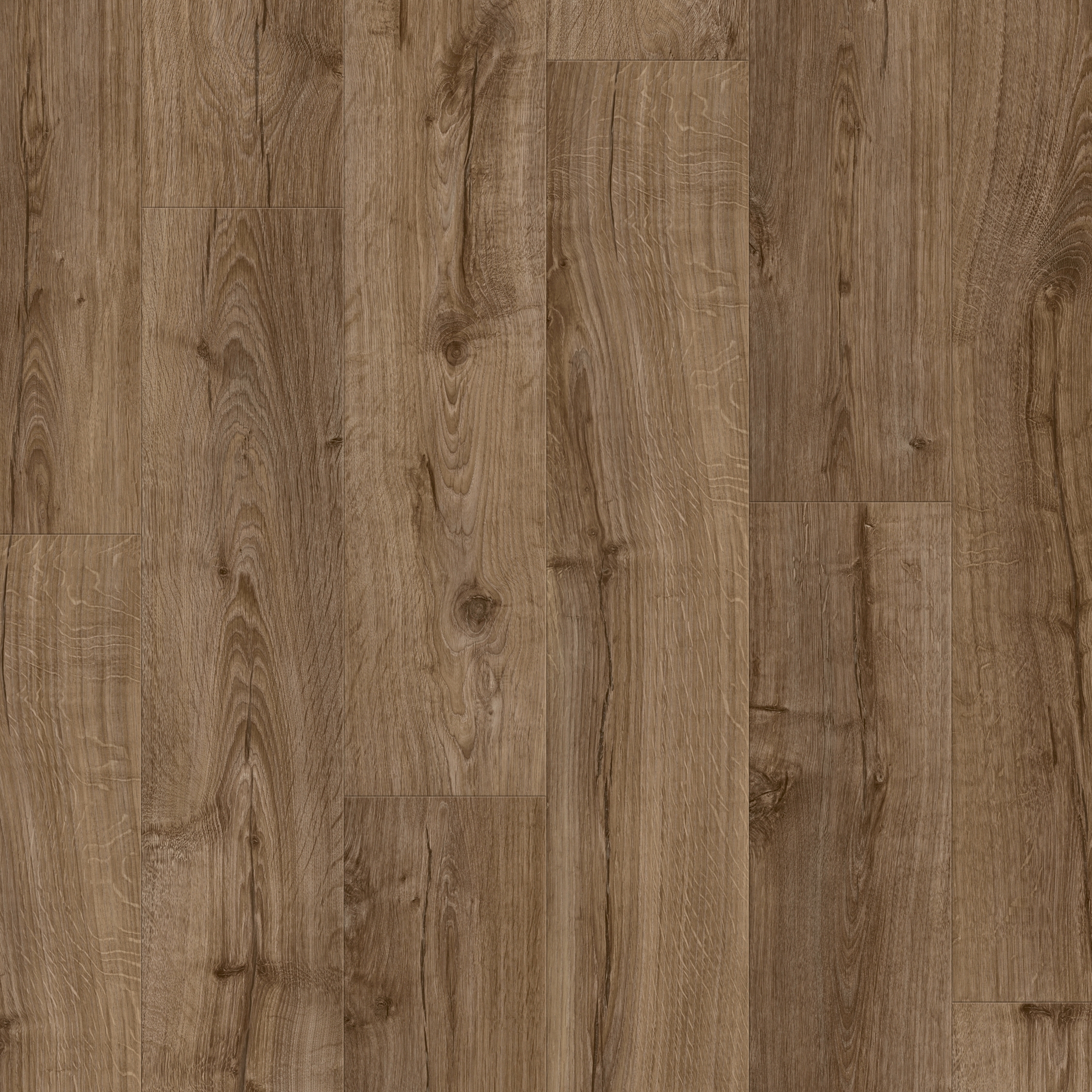 Display product Modern Plank farmhouse oak from manufacturer Pergo