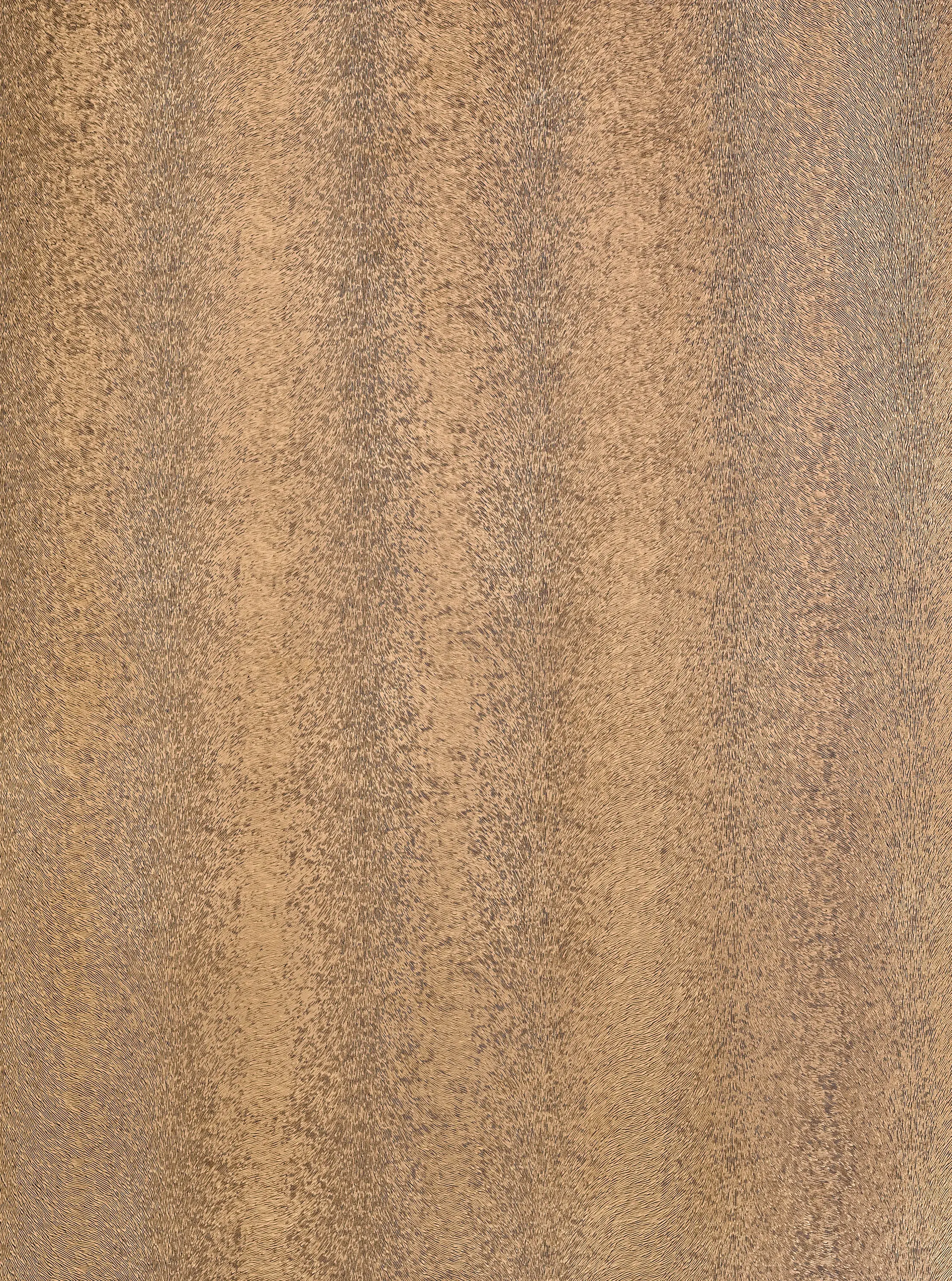 SICIS - Vetrite - Vis Two