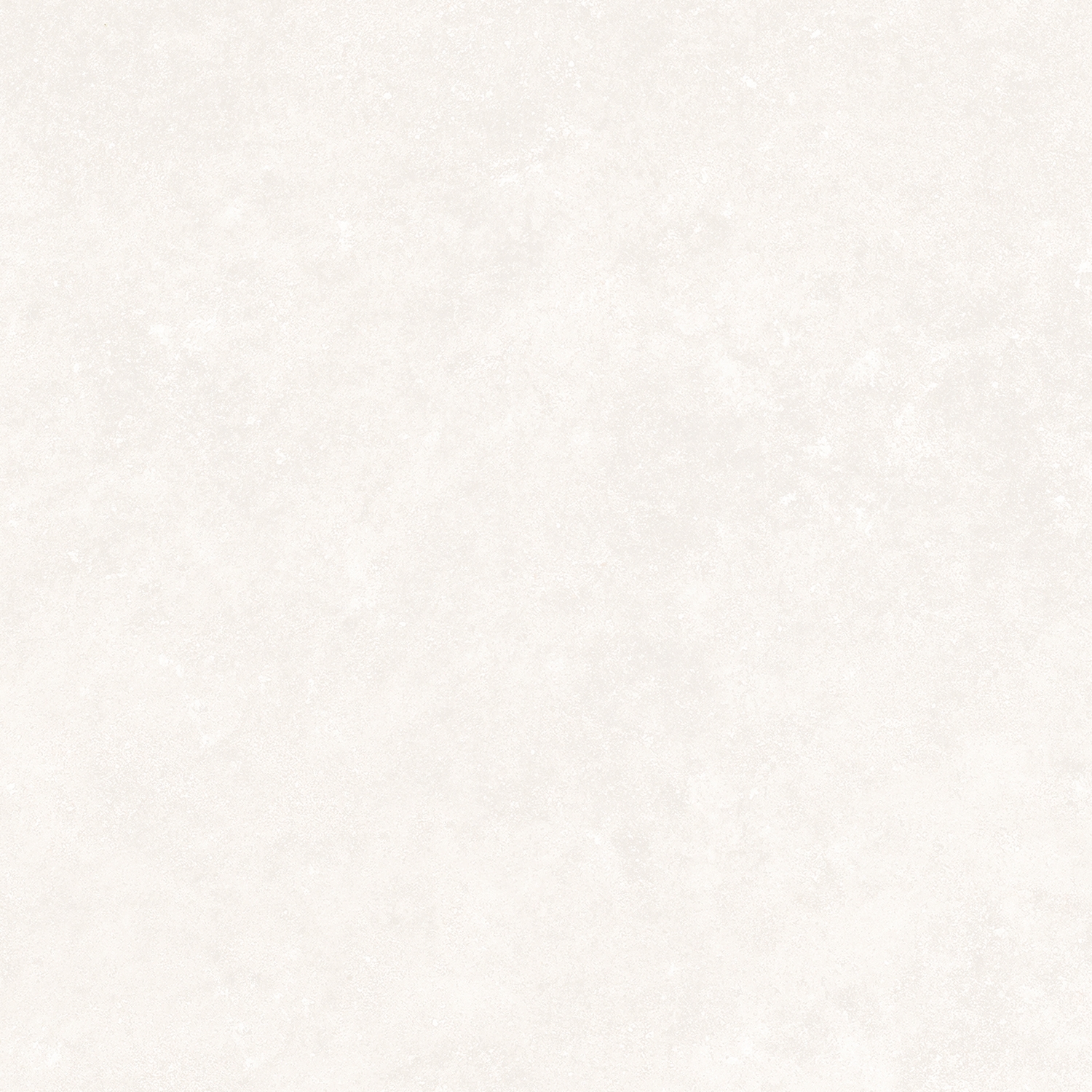 GROUND | BONE/A/R
