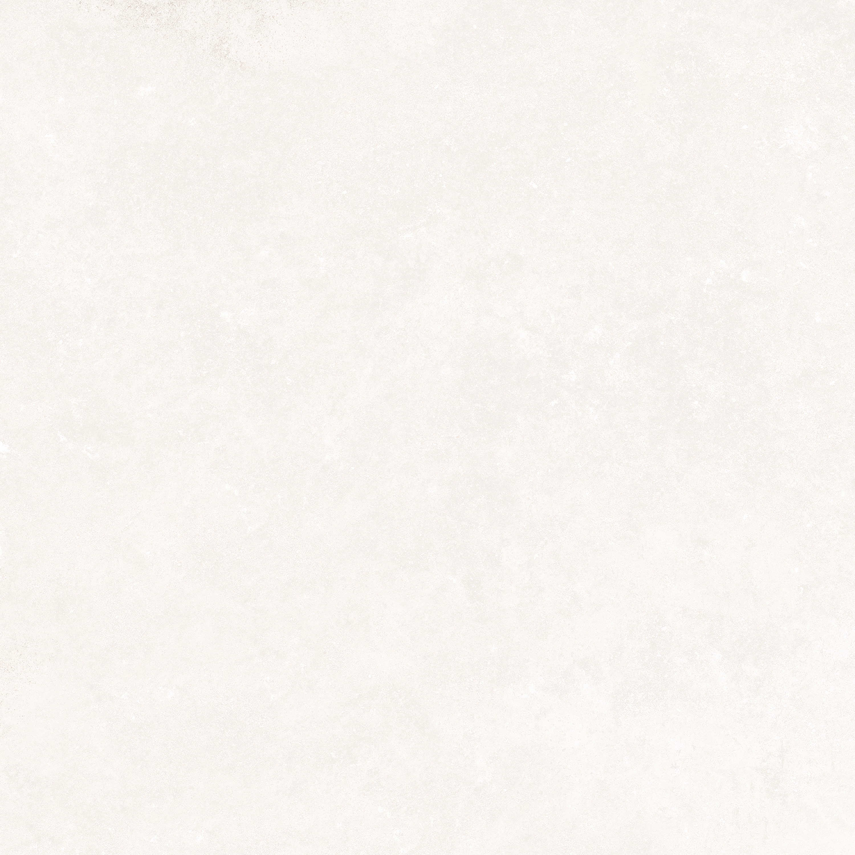 GROUND | BONE/SF