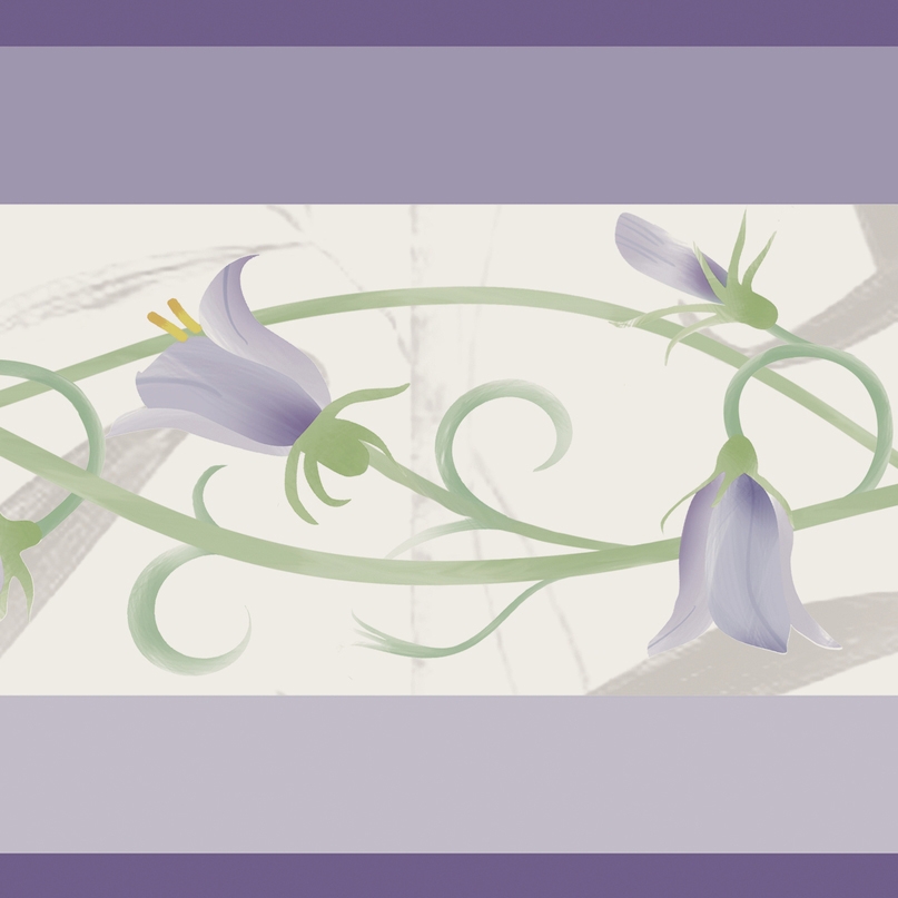 Vertoon produk PROVENCE | C.NYONS-L van vervaardiger Peronda