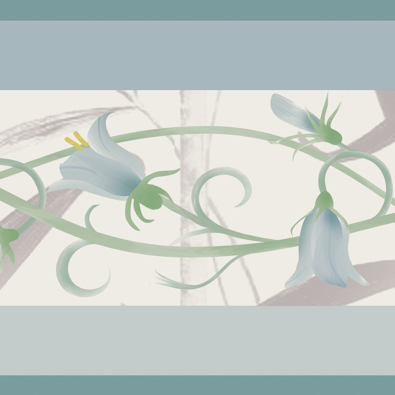 PROVENCE | C.NYONS-T