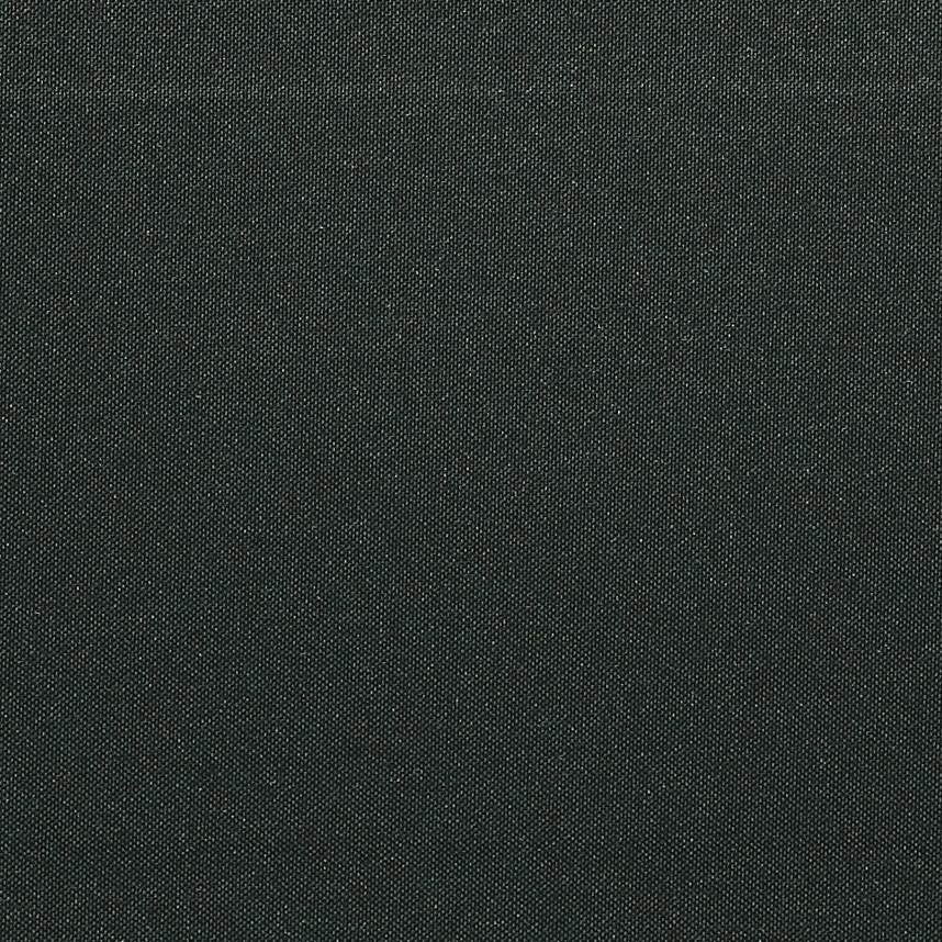 Ablion