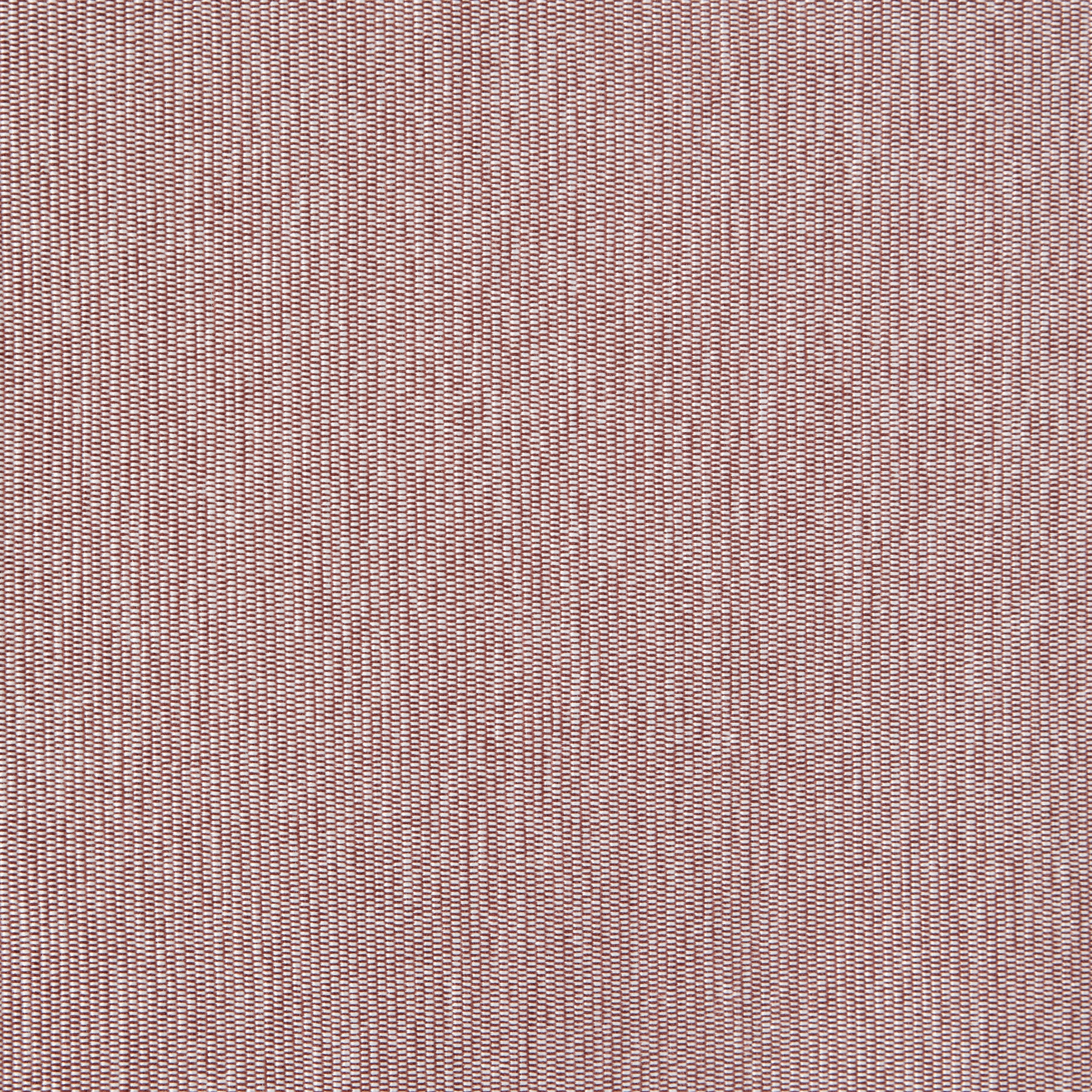 Aletsch 302