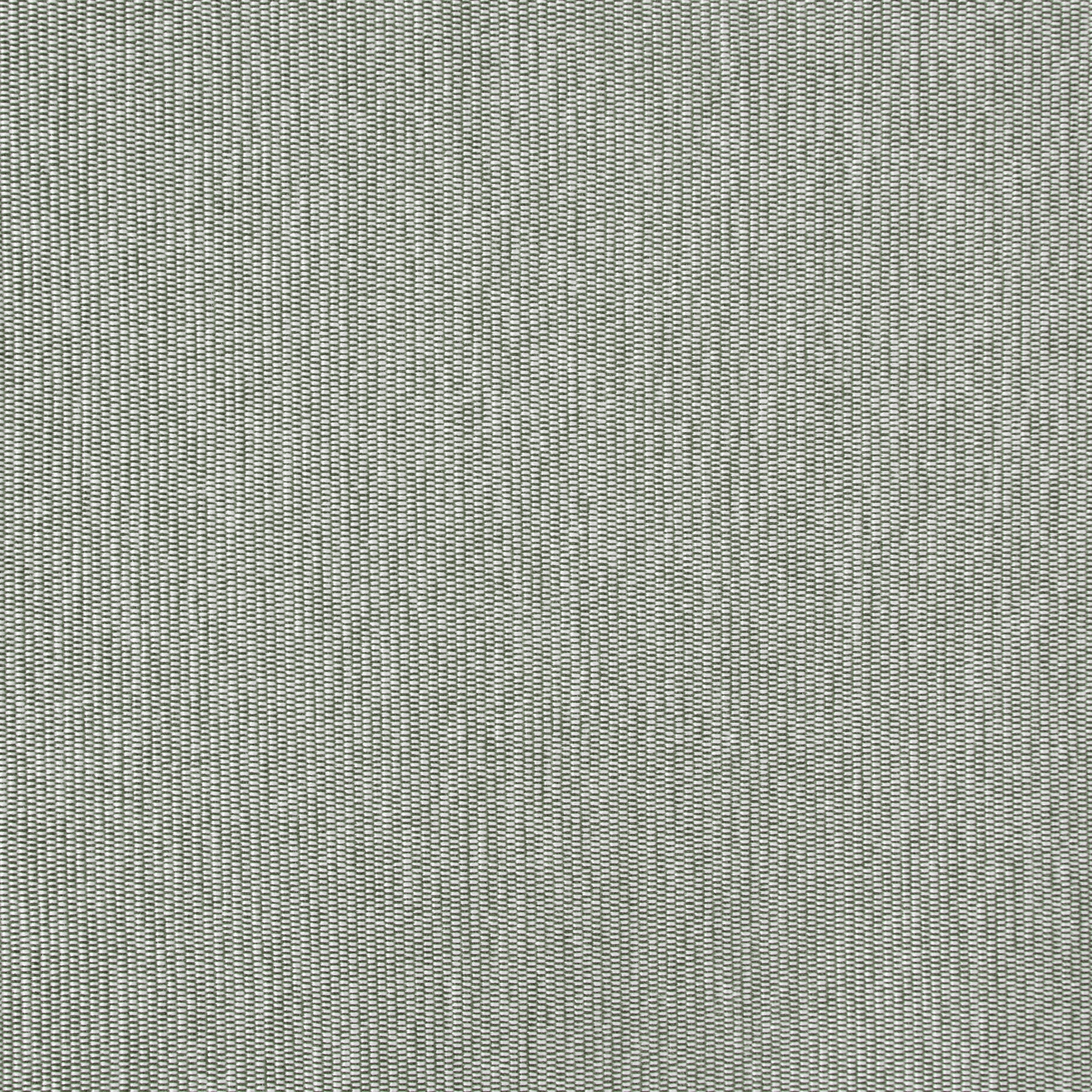 Aletsch 304