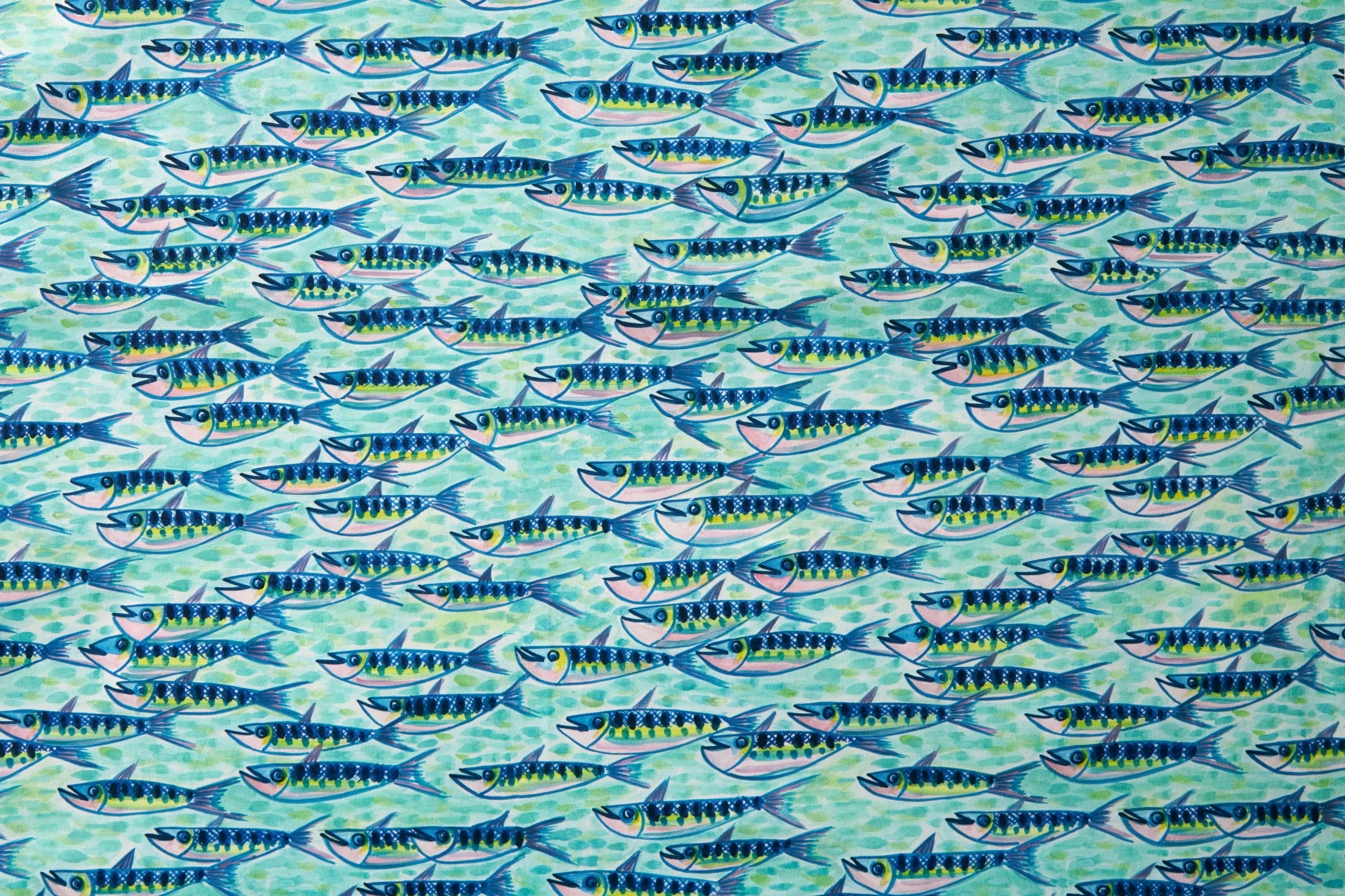 Fischbacher 1819 - Capsule | Ikan
