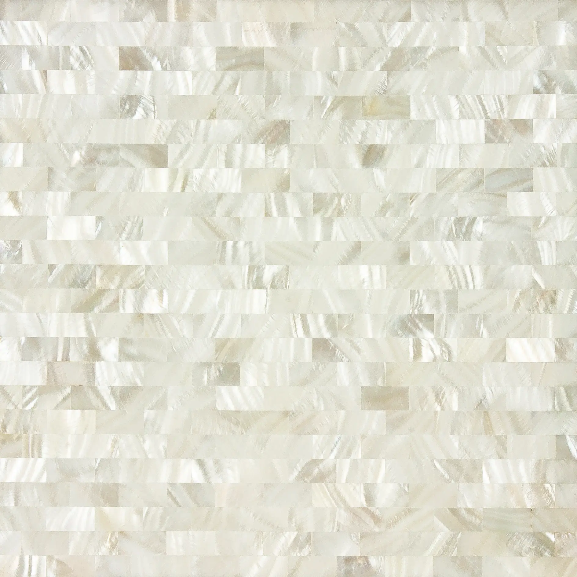 Artistic Tile - White Rivershell Field Tile