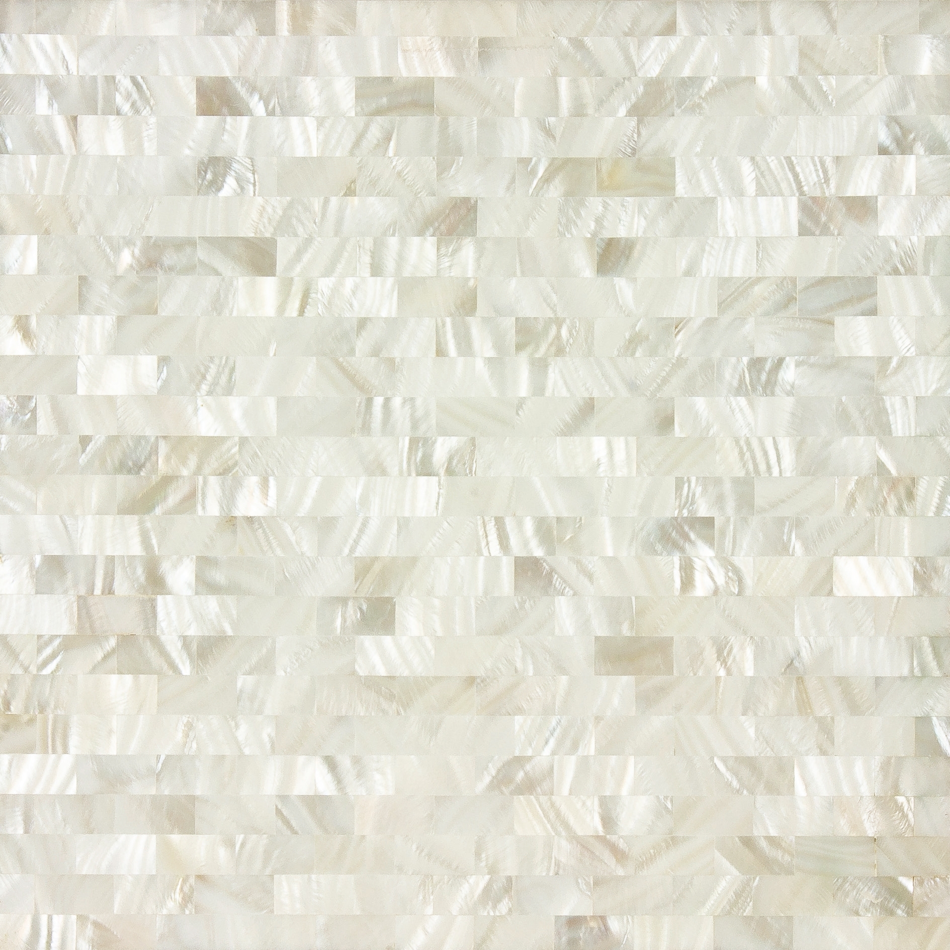 Mostrar el producto White Rivershell Field Tile del fabricante Artistic Tile