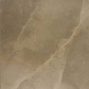 Evolutionmarble