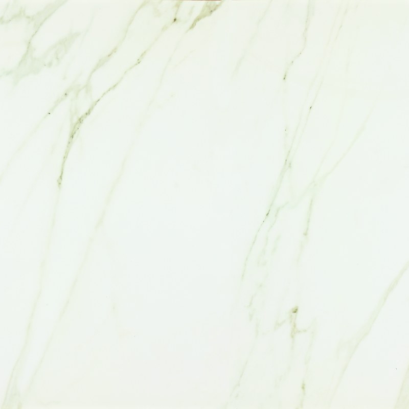 Evolutionmarble