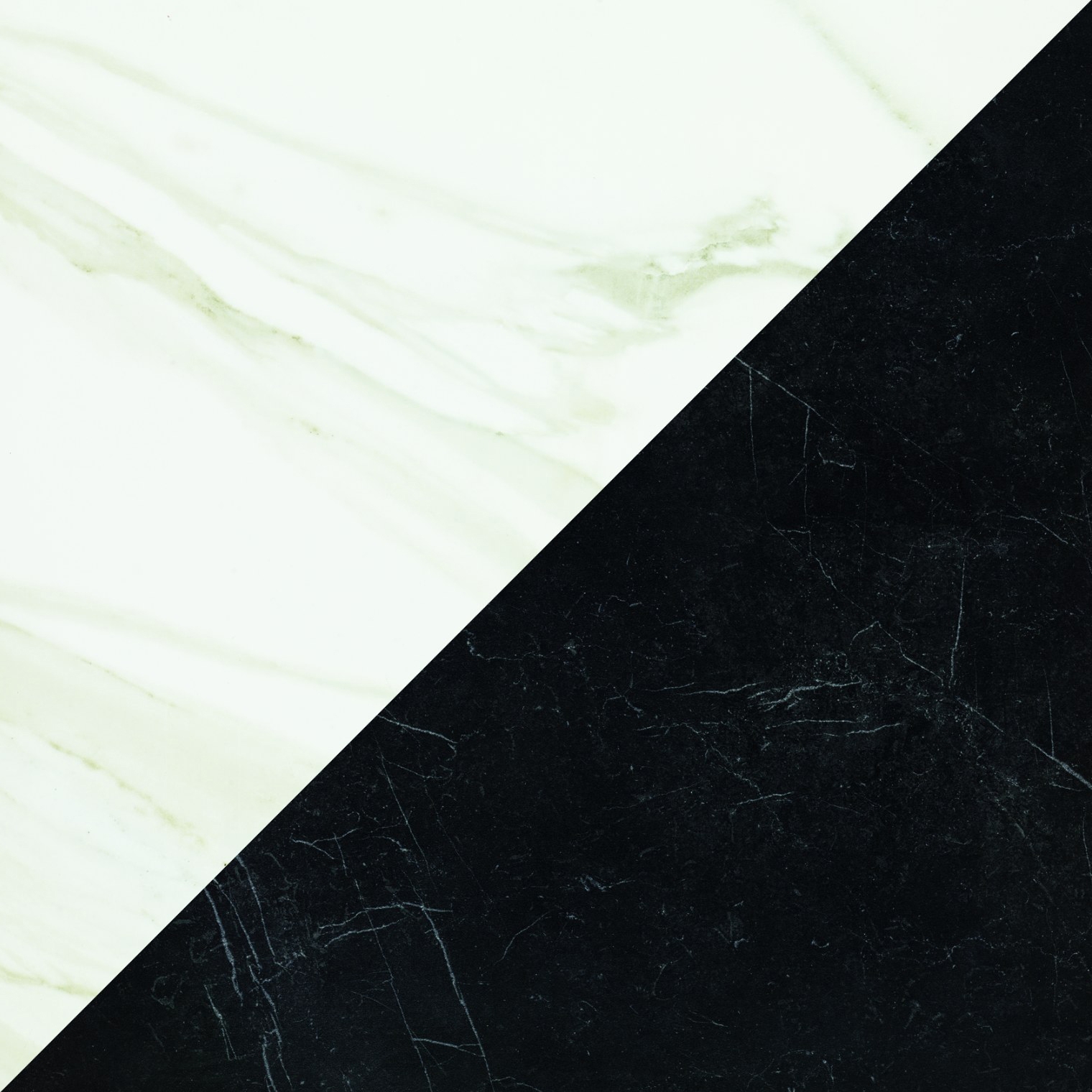Evolutionmarble