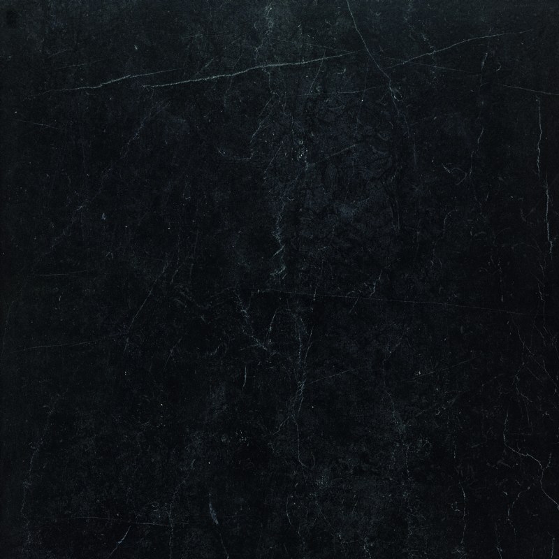 Evolutionmarble