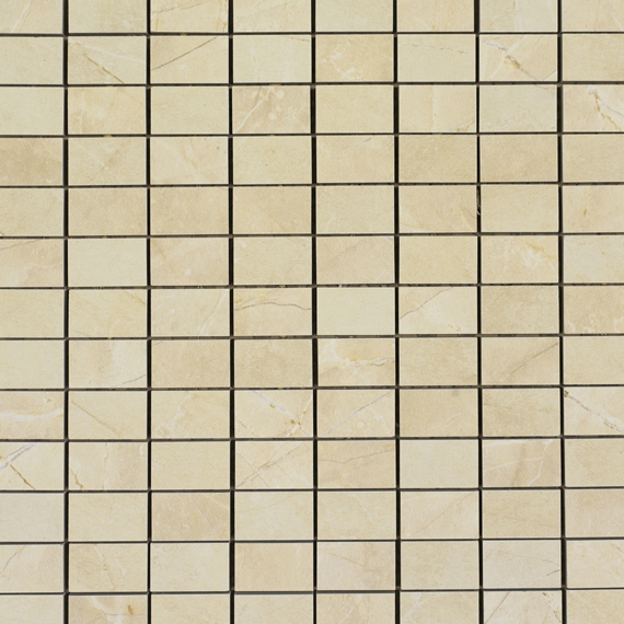 Evolutionmarble