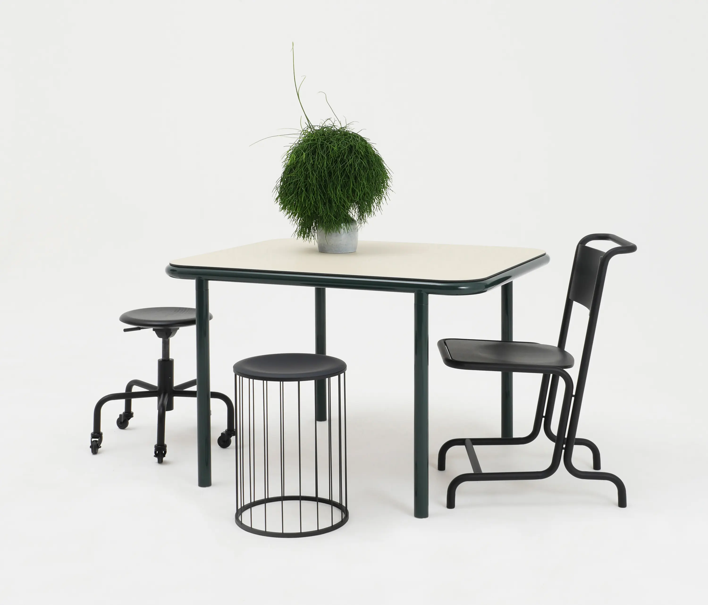 Atelier Haußmann - Spring