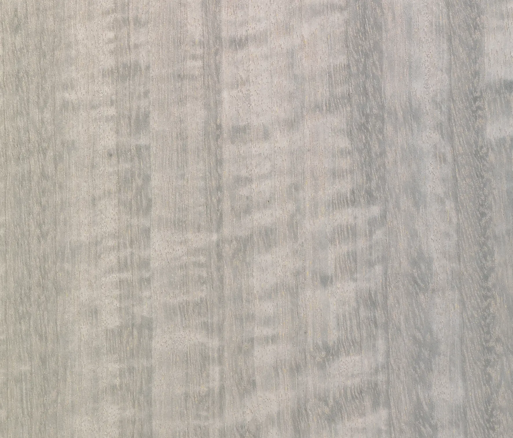 Tabu - Luxury E5.S.005