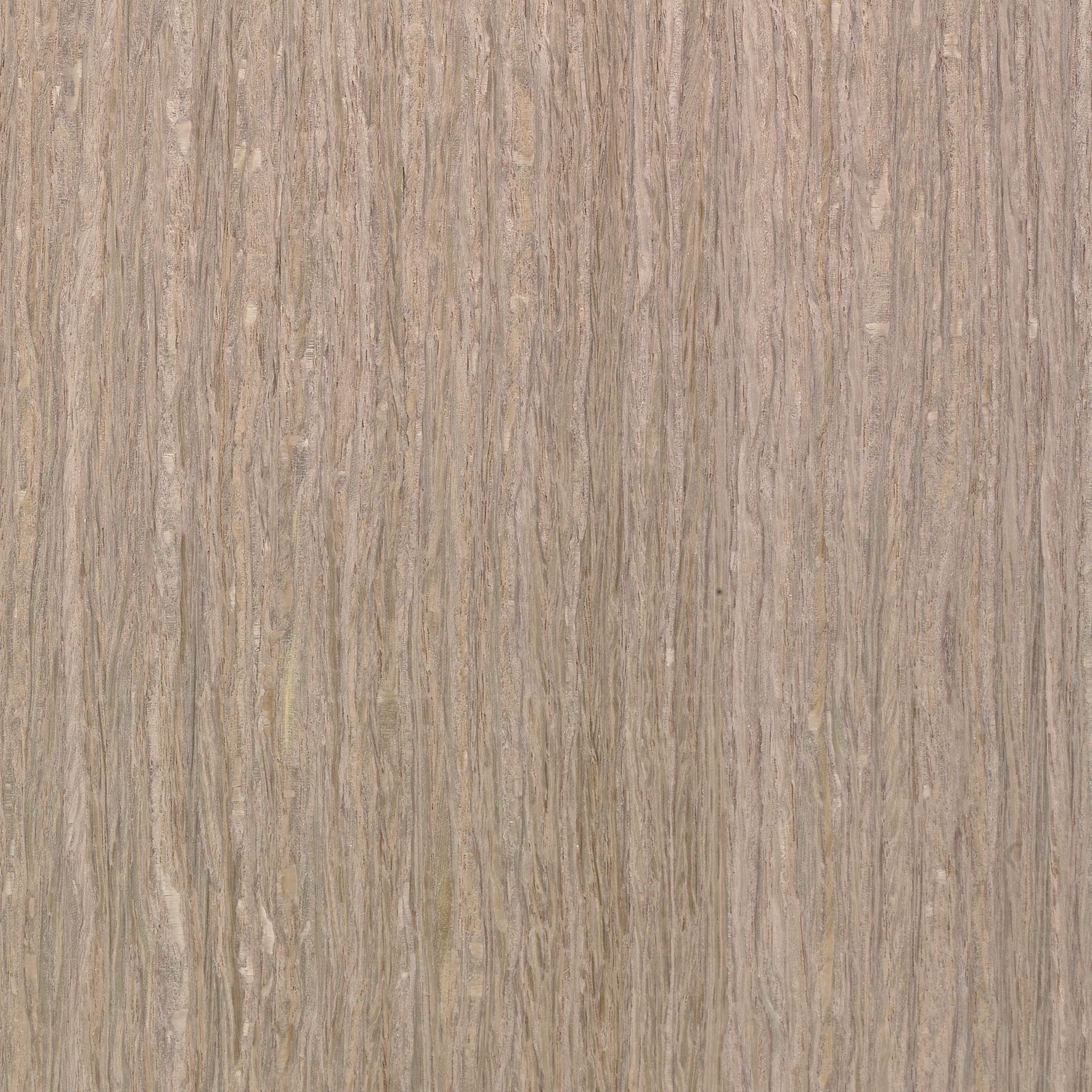 Terra MN.13.497