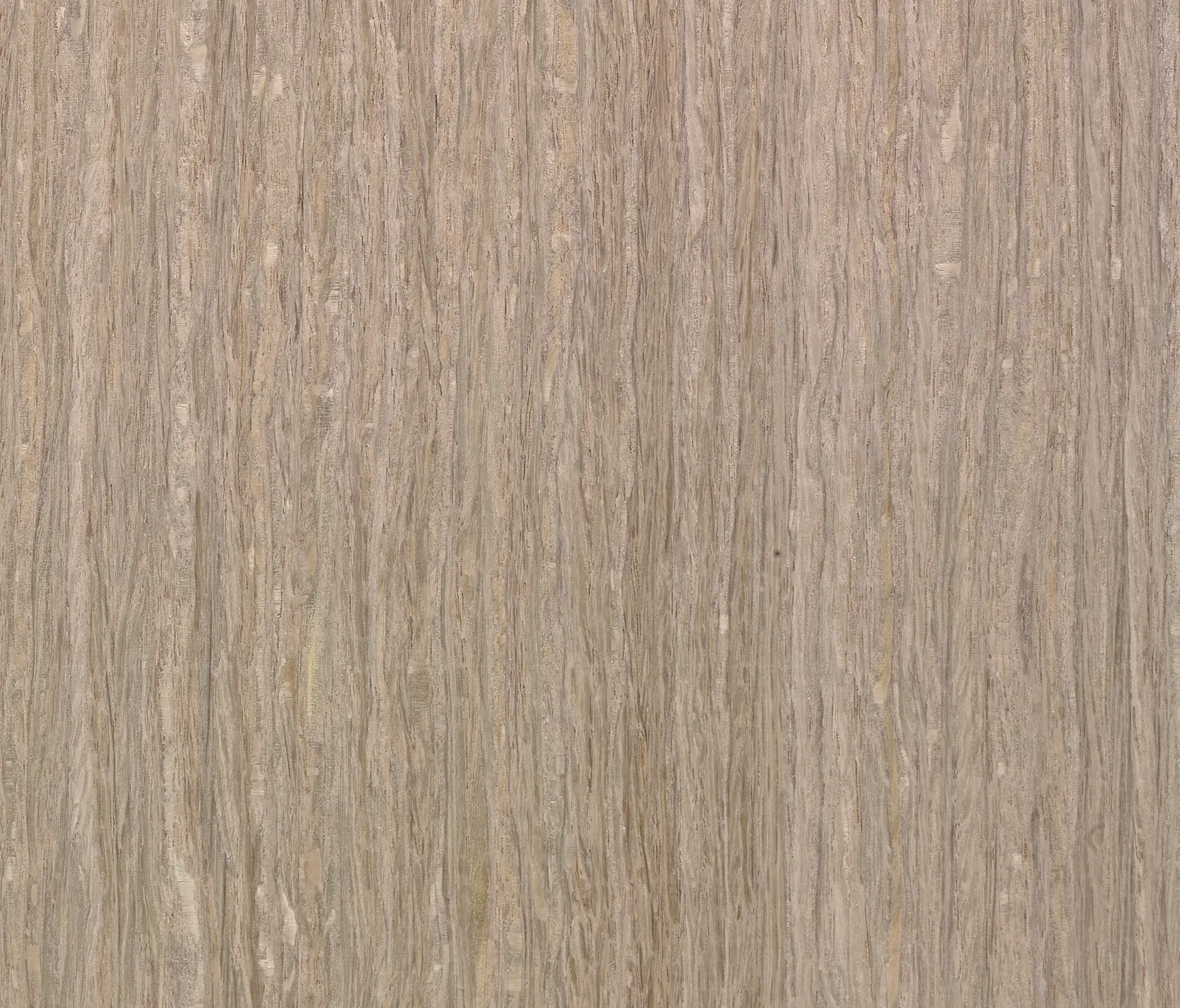 Tabu - Terra MN.13.497