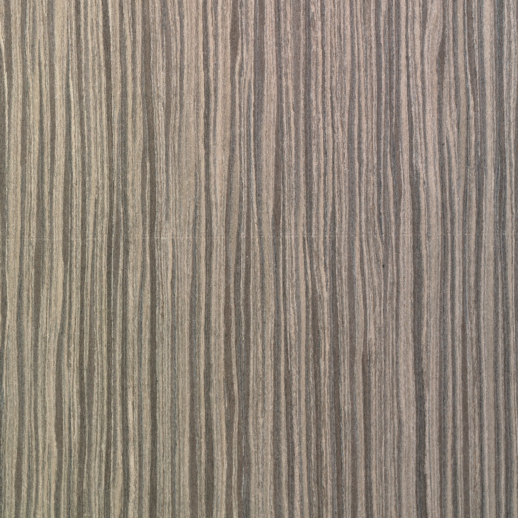 Terra MNX.03.020