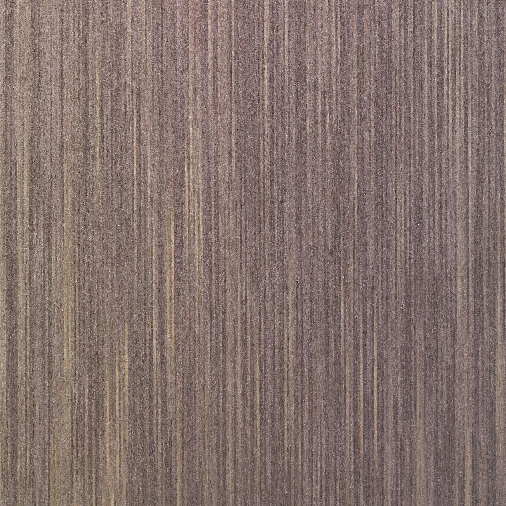 Terra RRX.58.025