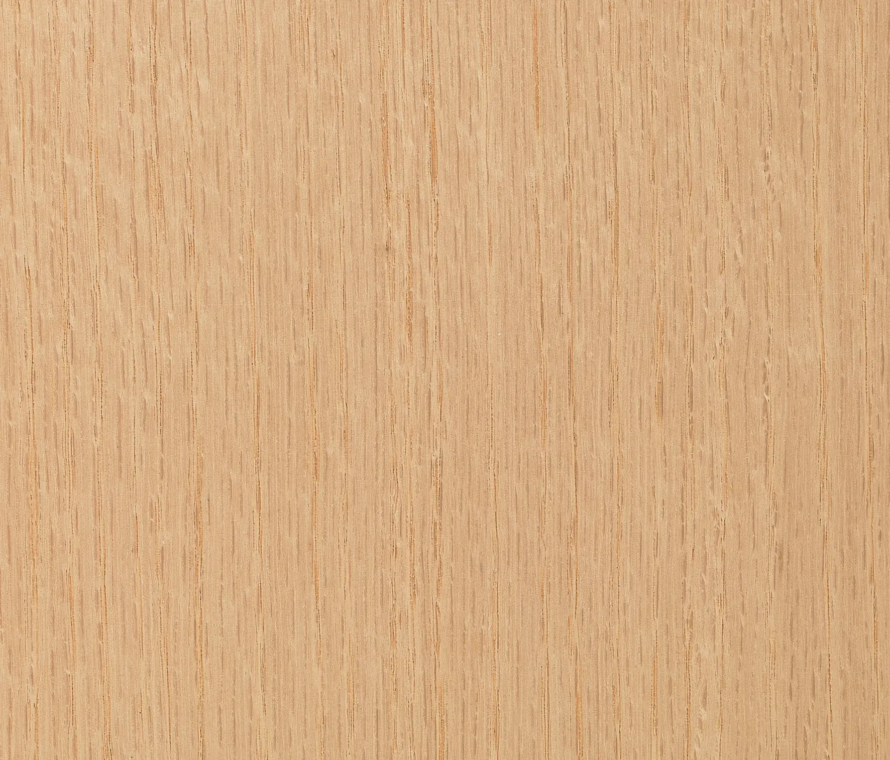 Tabu - Terra 13.003