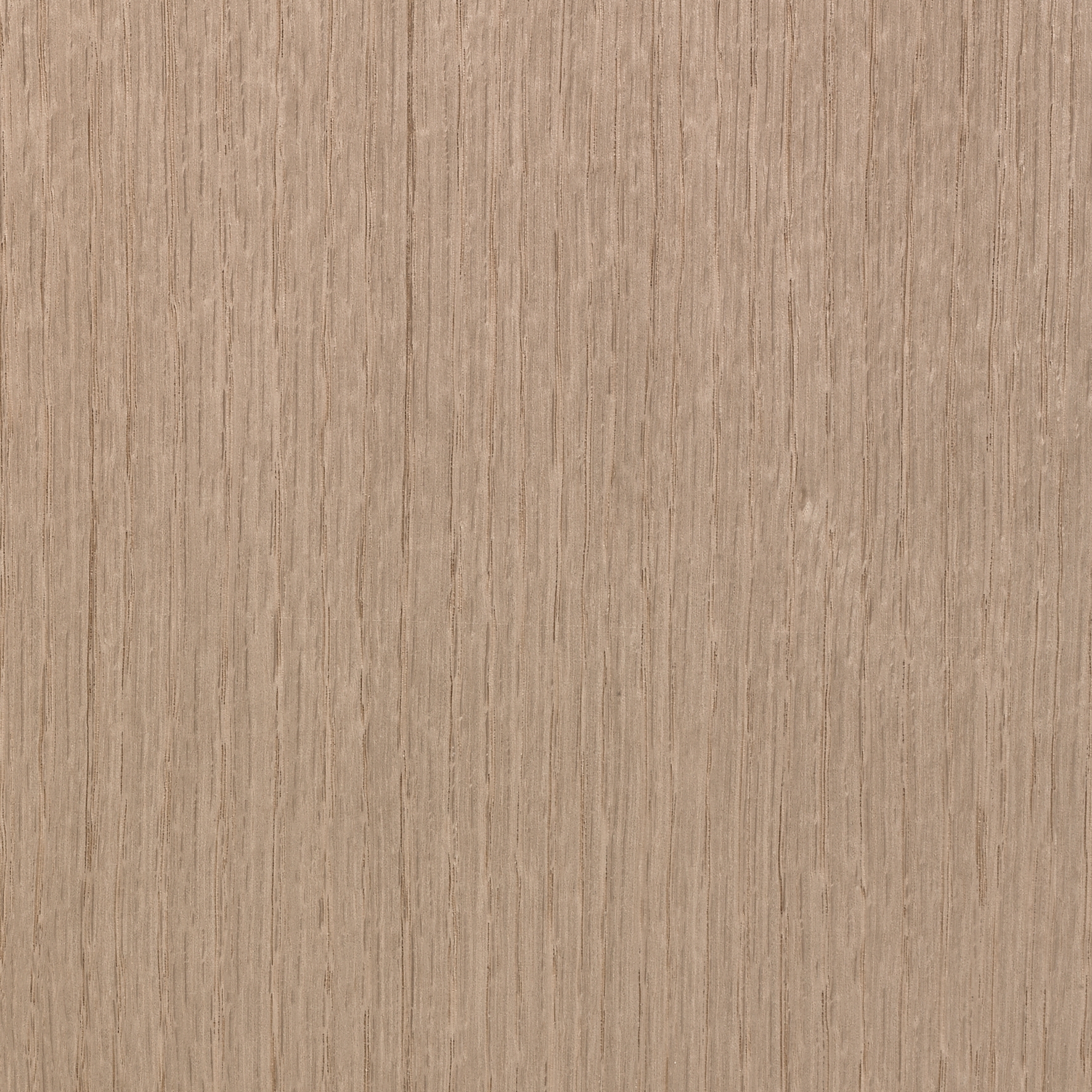 Terra 13.004