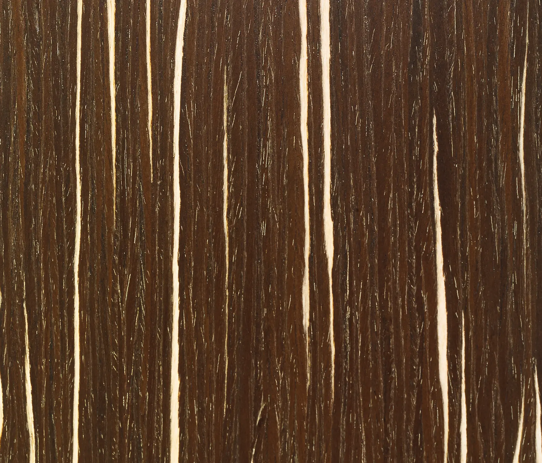 Tabu - Charta Line CE.004.A