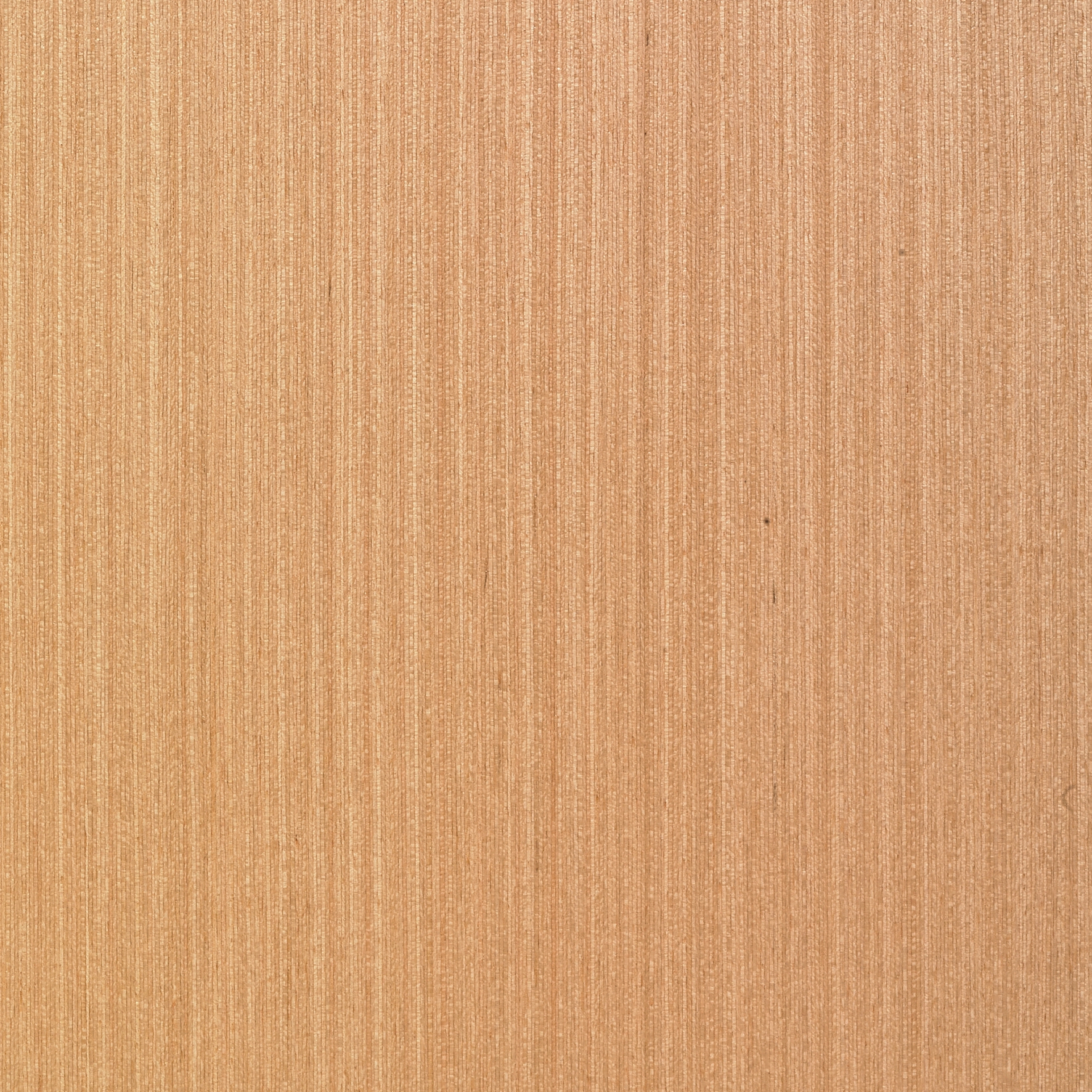 Charta Line CE.005.A