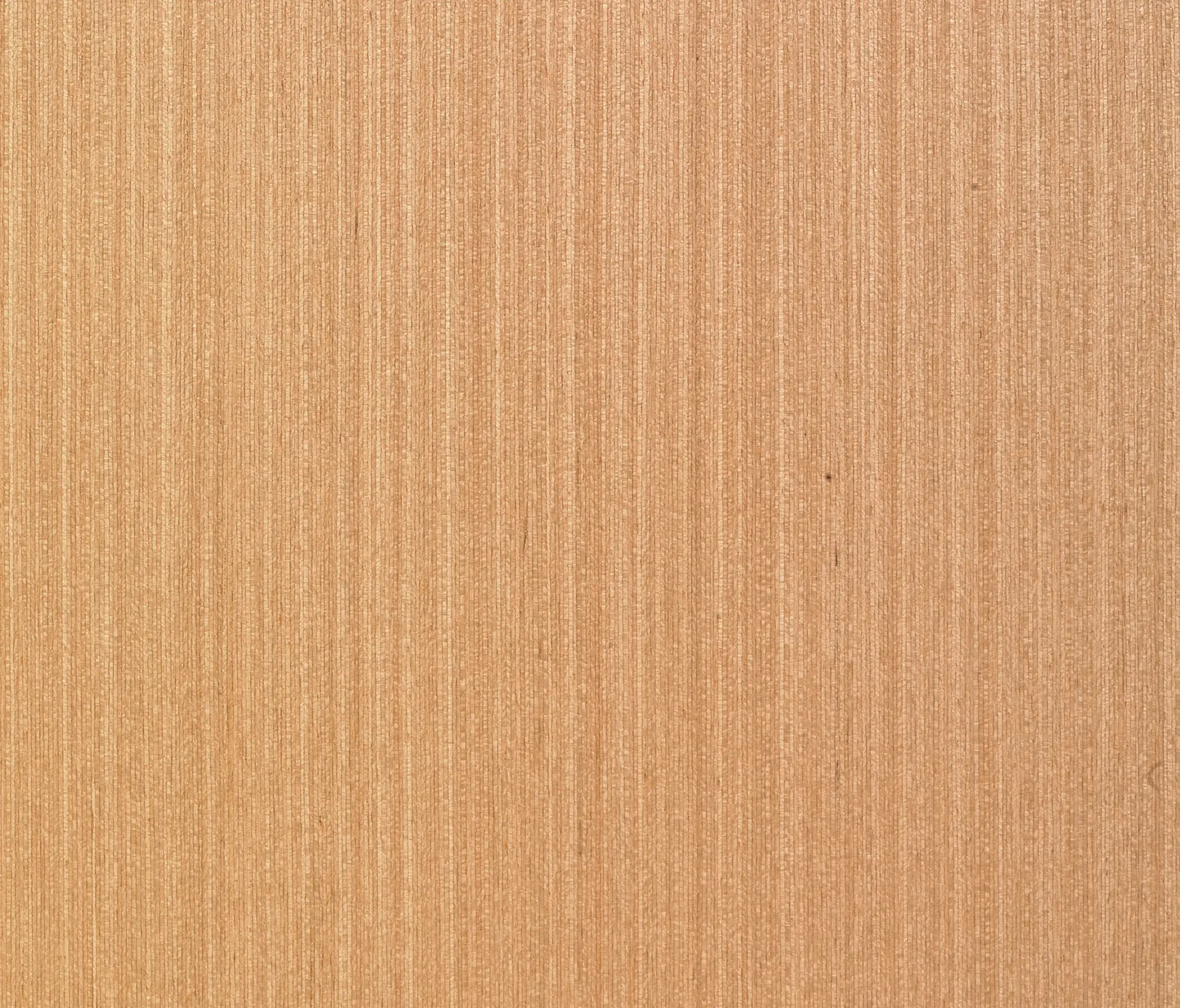 Tabu - Charta Line CE.005.A