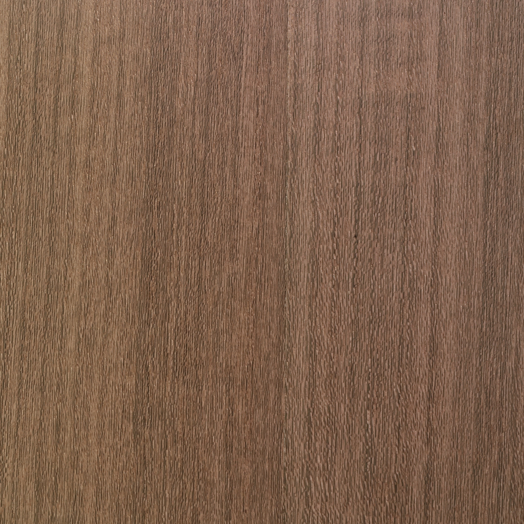 Materia Line FB.020.A