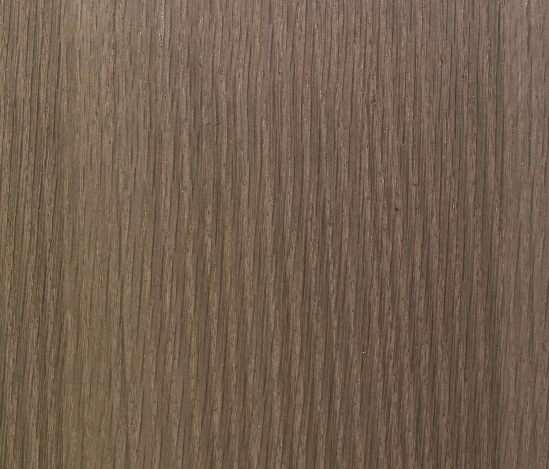 Tabu - Materia Line FB.022.A