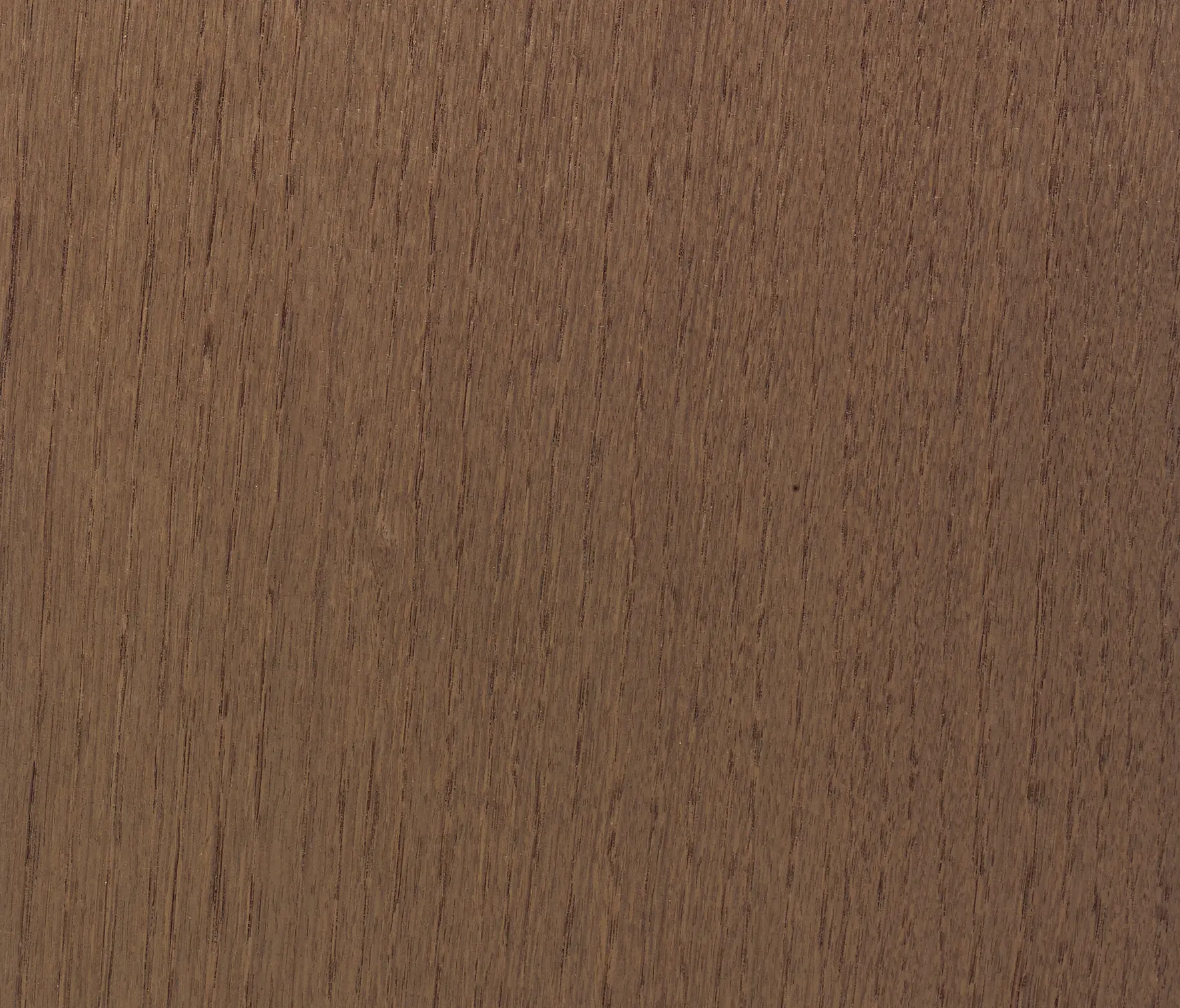 Tabu - BIO2 13.B01