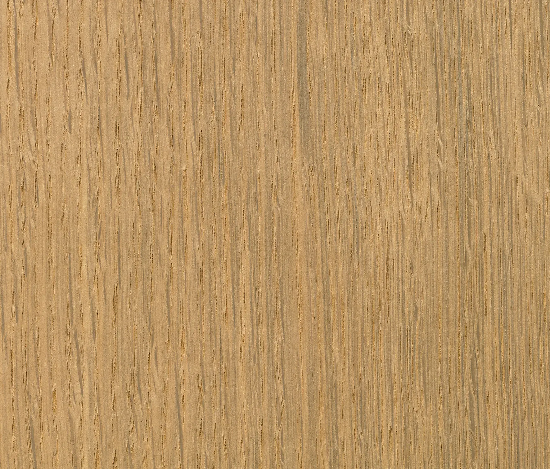 Tabu - BIO2 13.B02