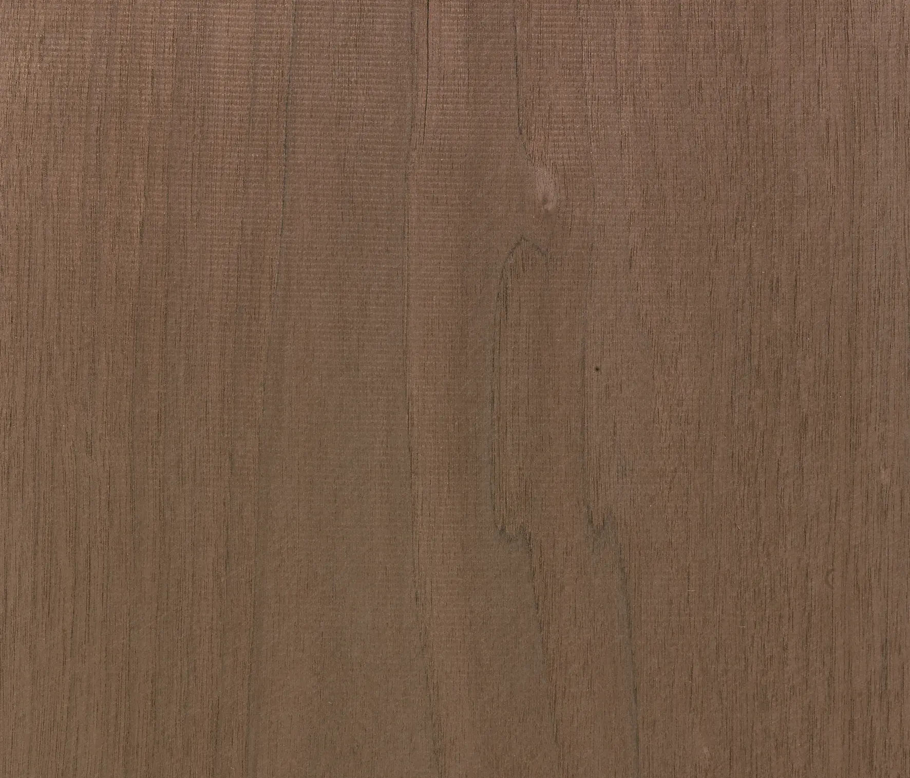 Tabu - BIO2 51.B01