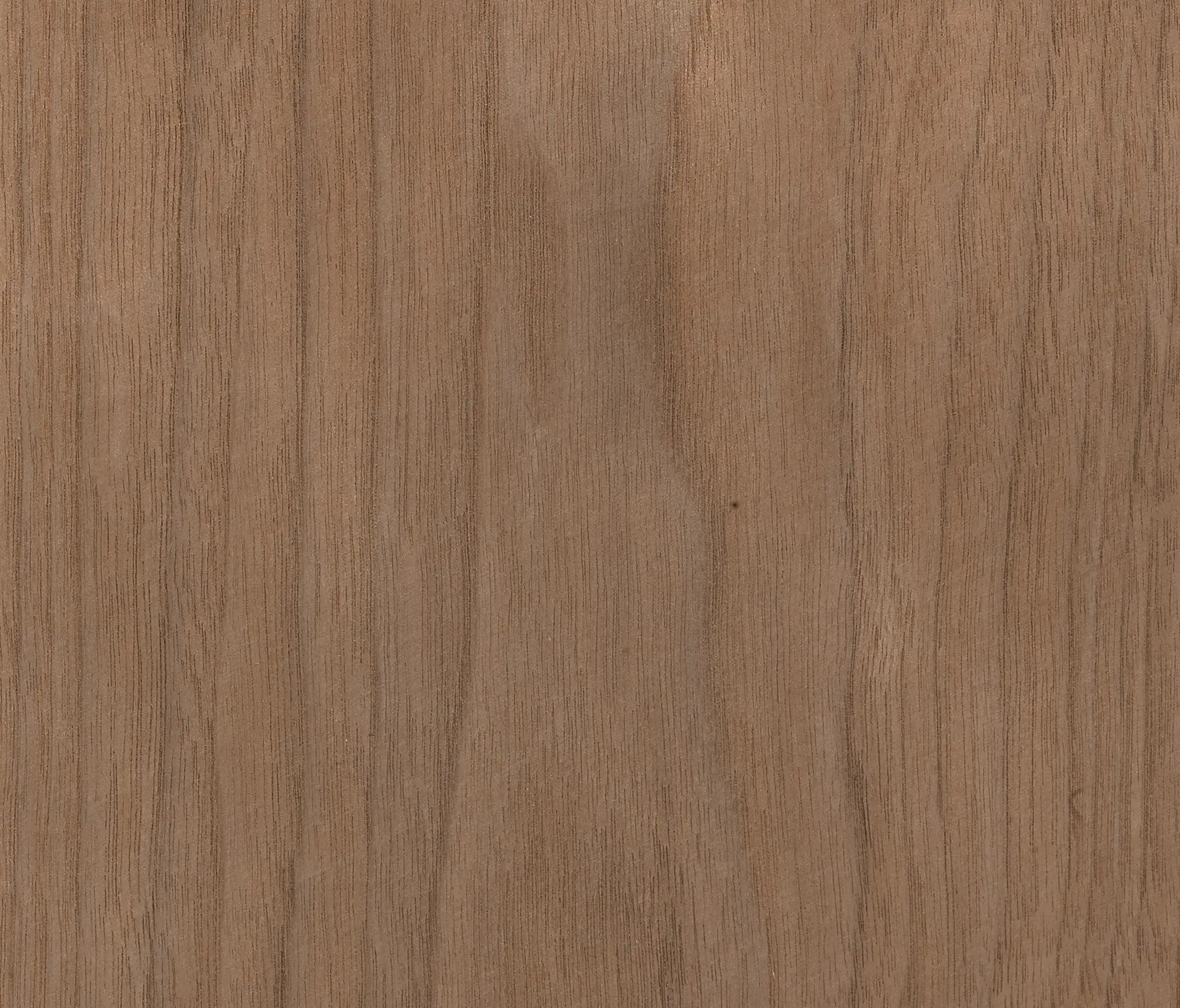 Tabu - BIO2 51.B02