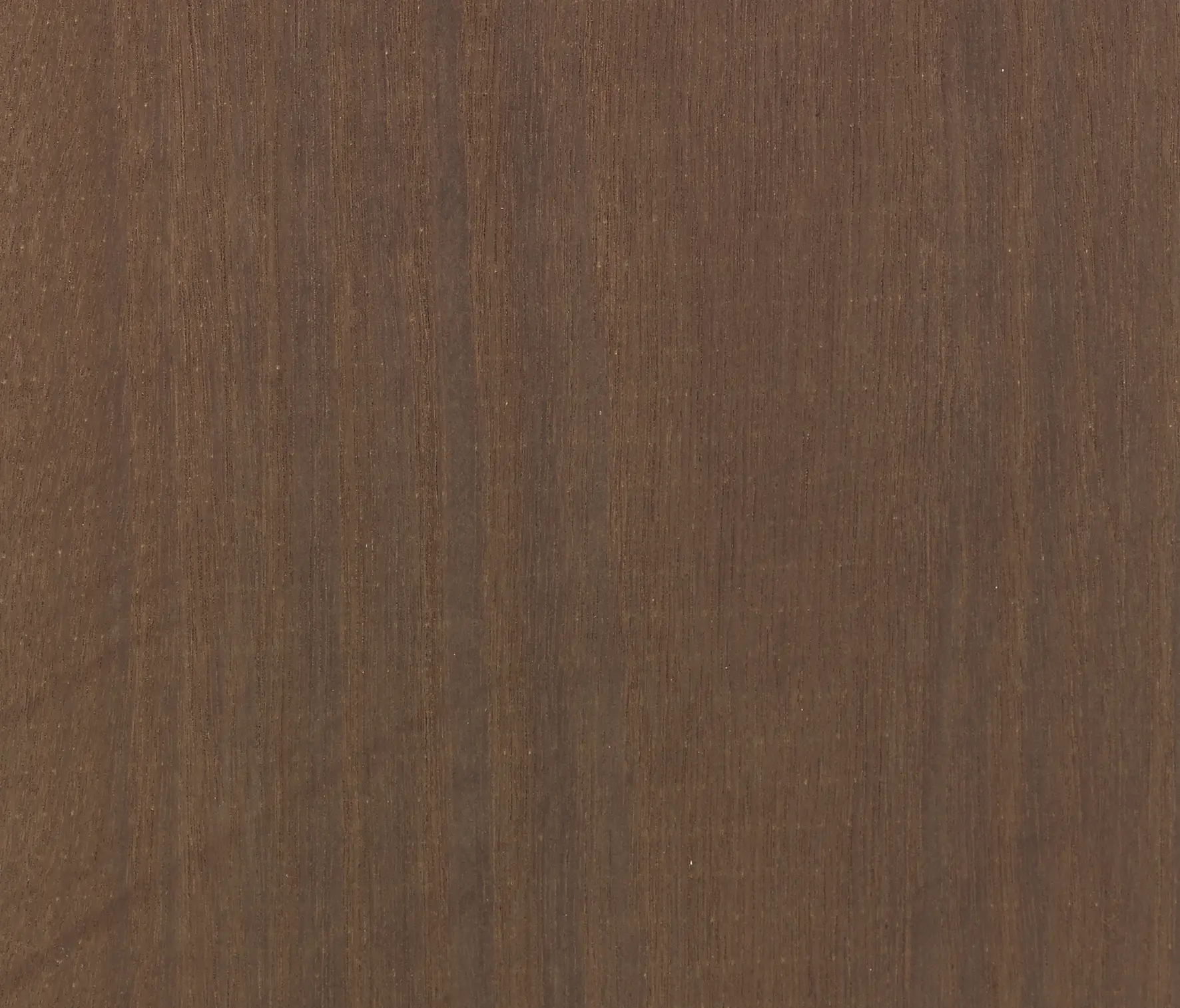 Tabu - BIO2 E5.B01