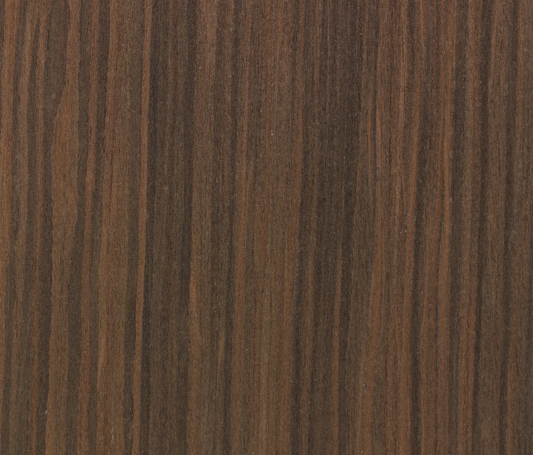 Tabu - Ecozero MN.58.023