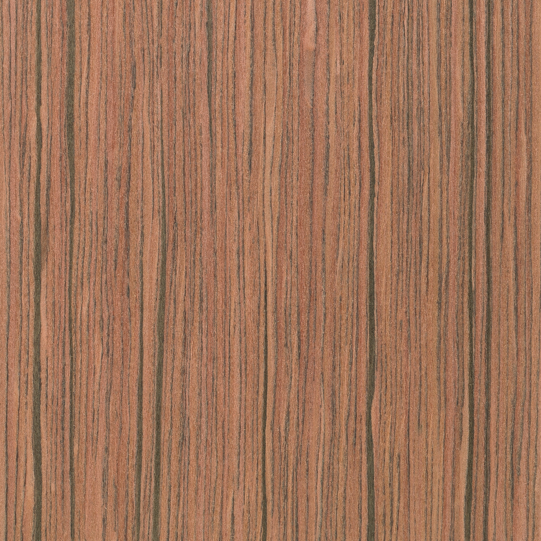 Ecozero MN.60.001
