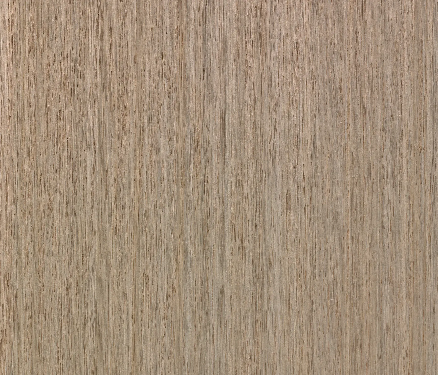 Tabu - Ecozero R.13.157