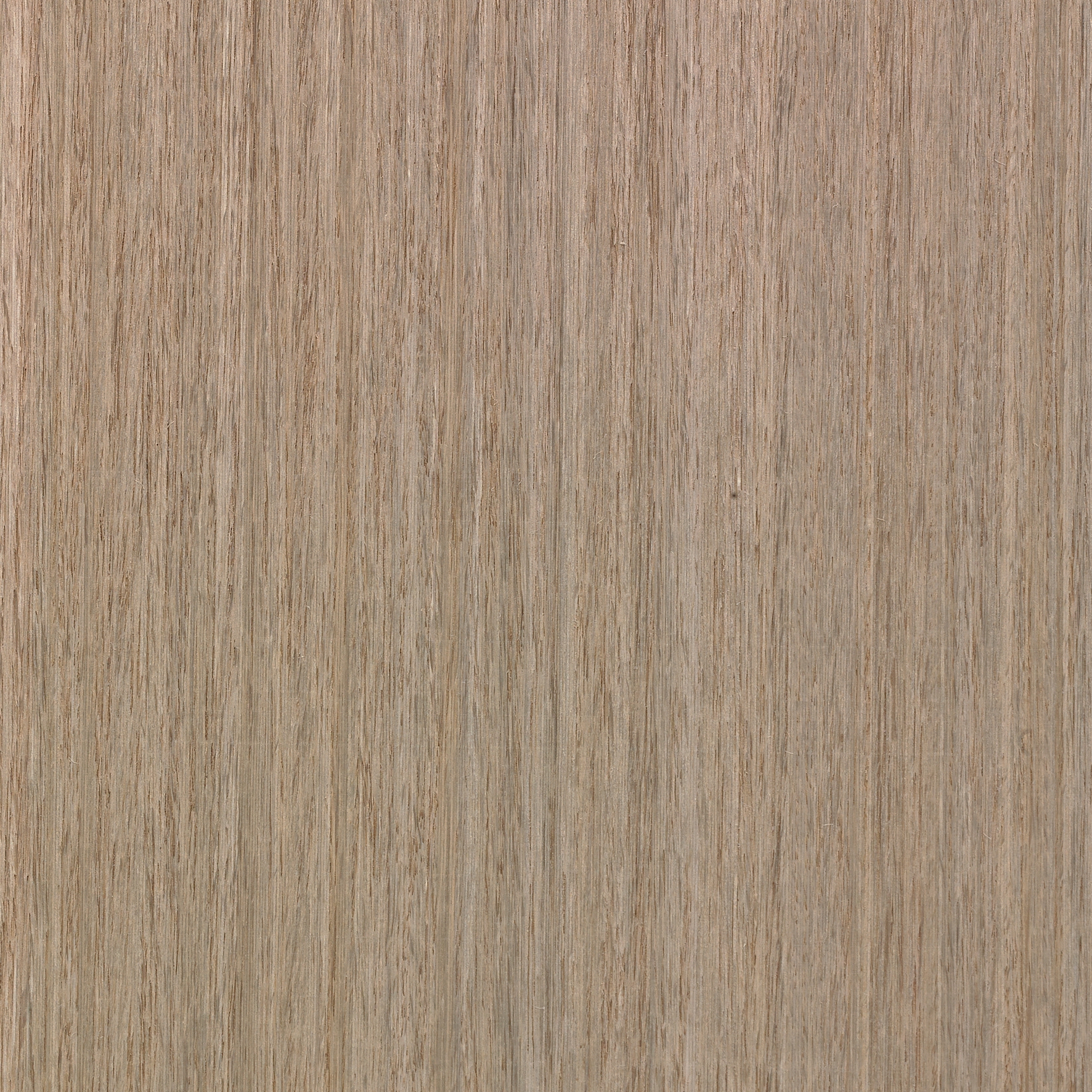 Ecozero R.13.157