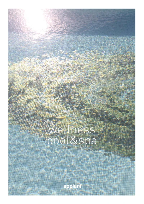 Preview image for the file Wellness Pool & Spa