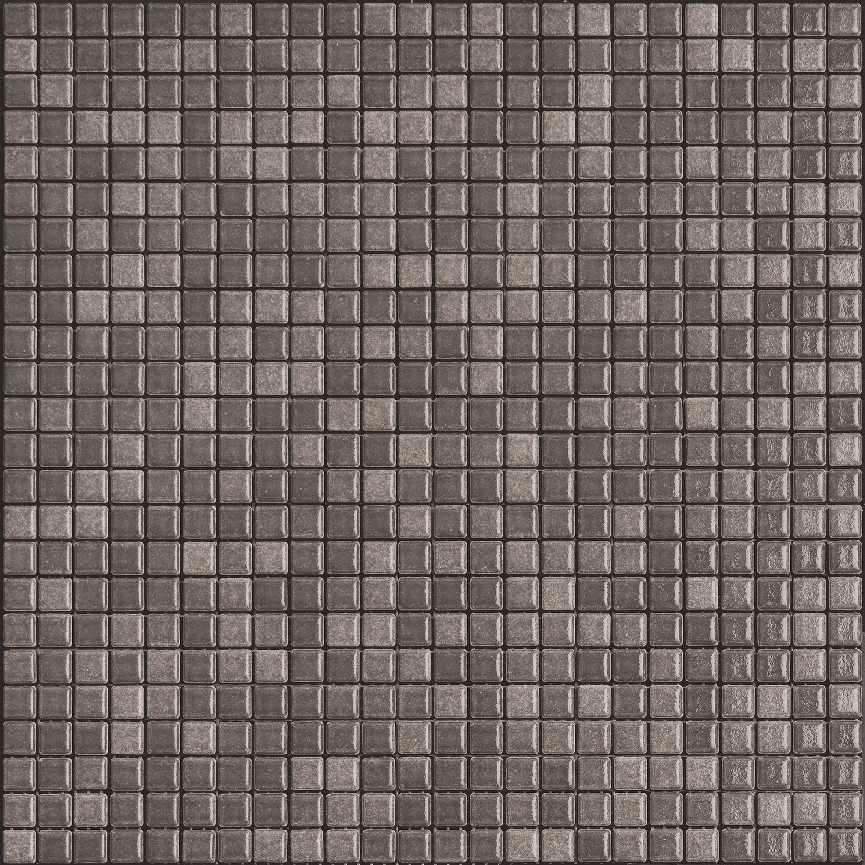 Anthologhia MOS 4004