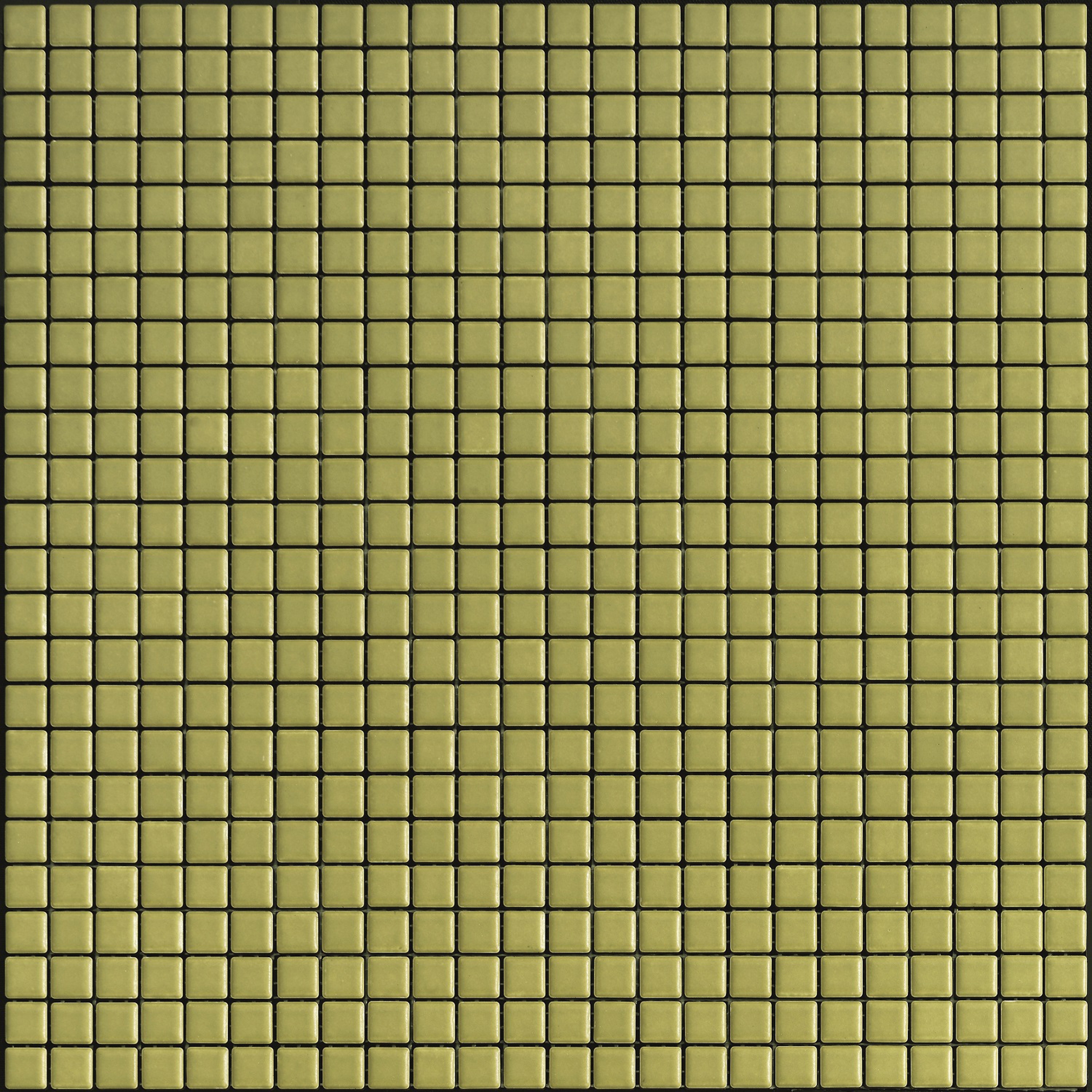 Seta 4011