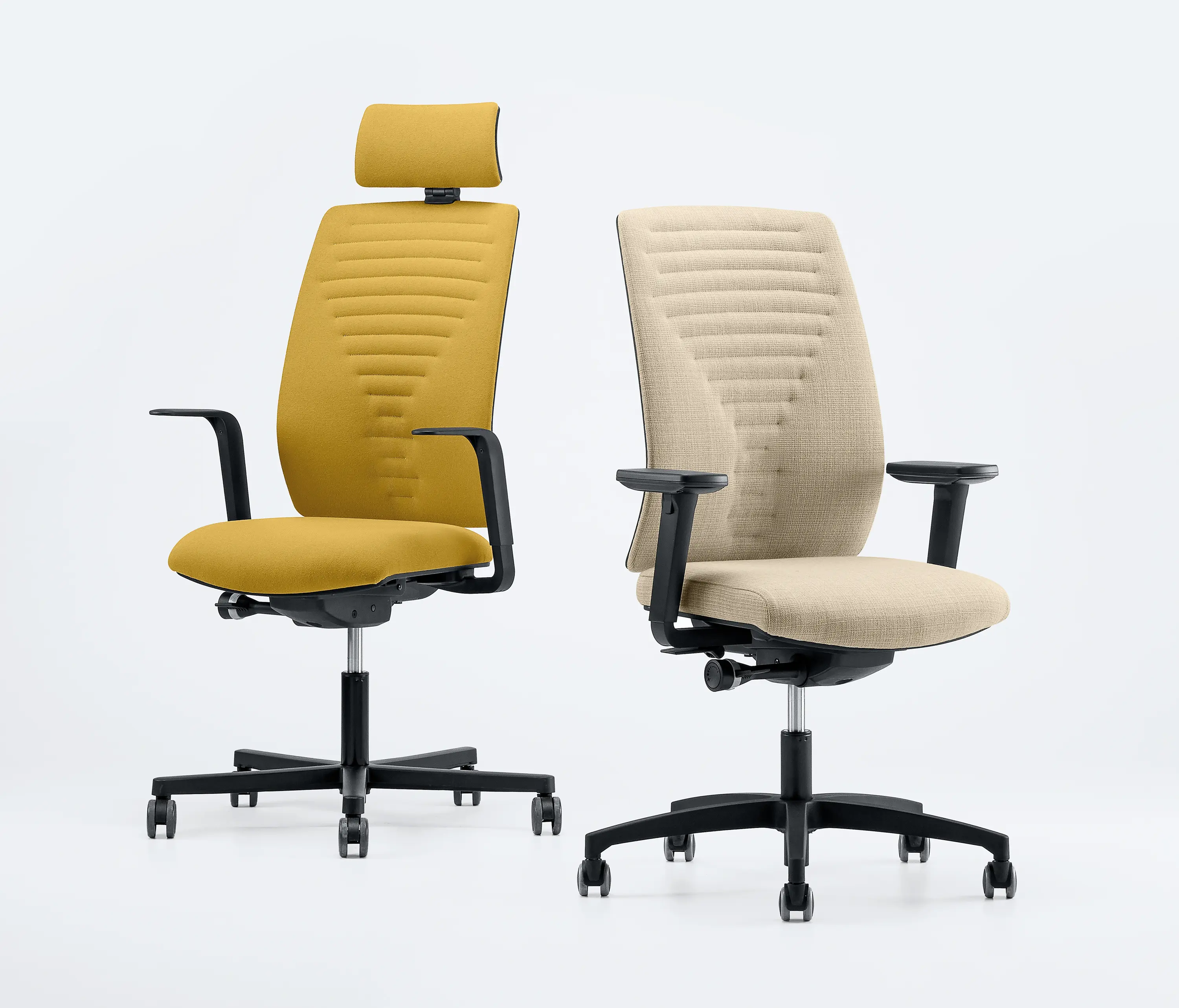 Aresline - Dotway Padded