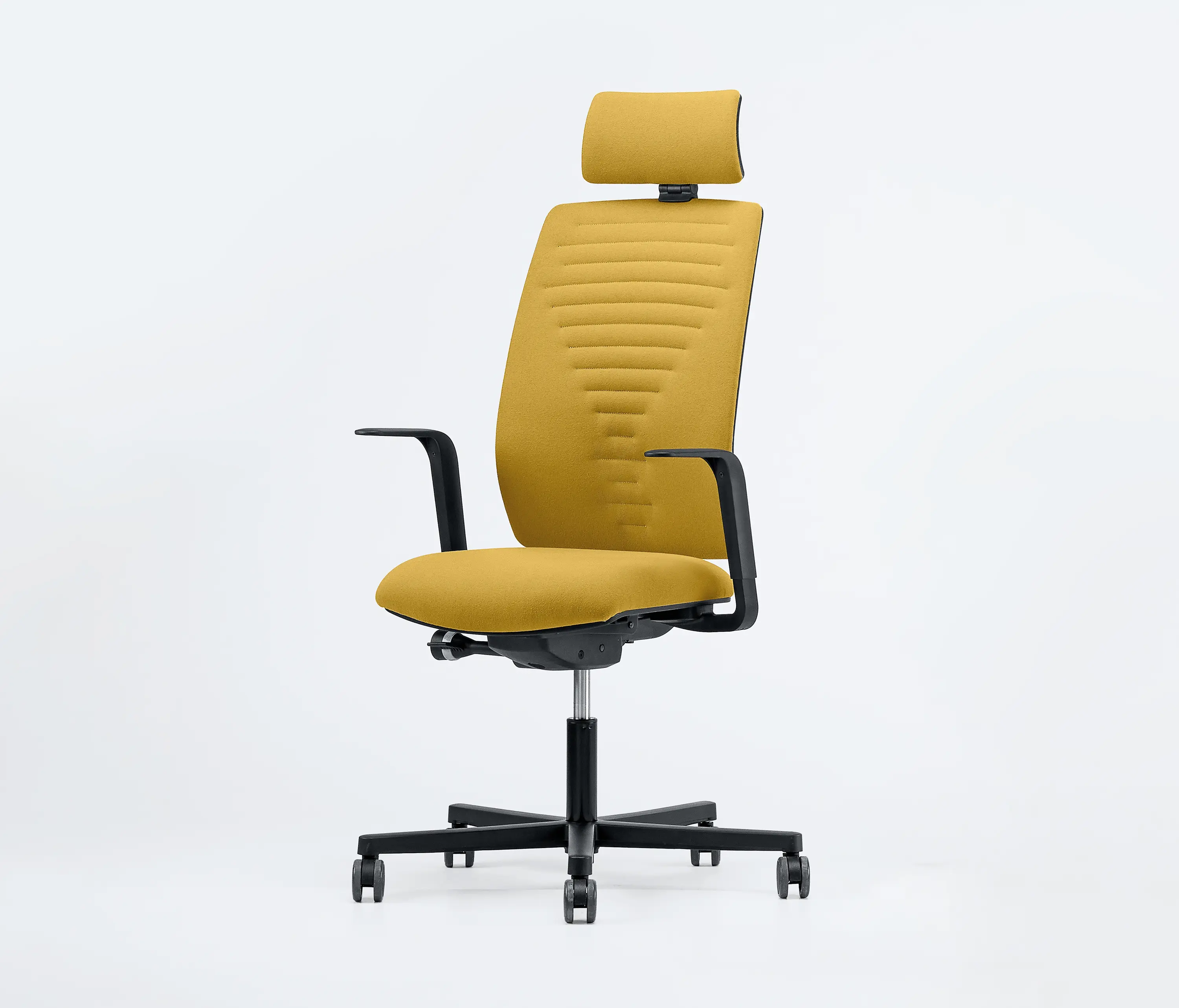 Aresline - Dotway Padded