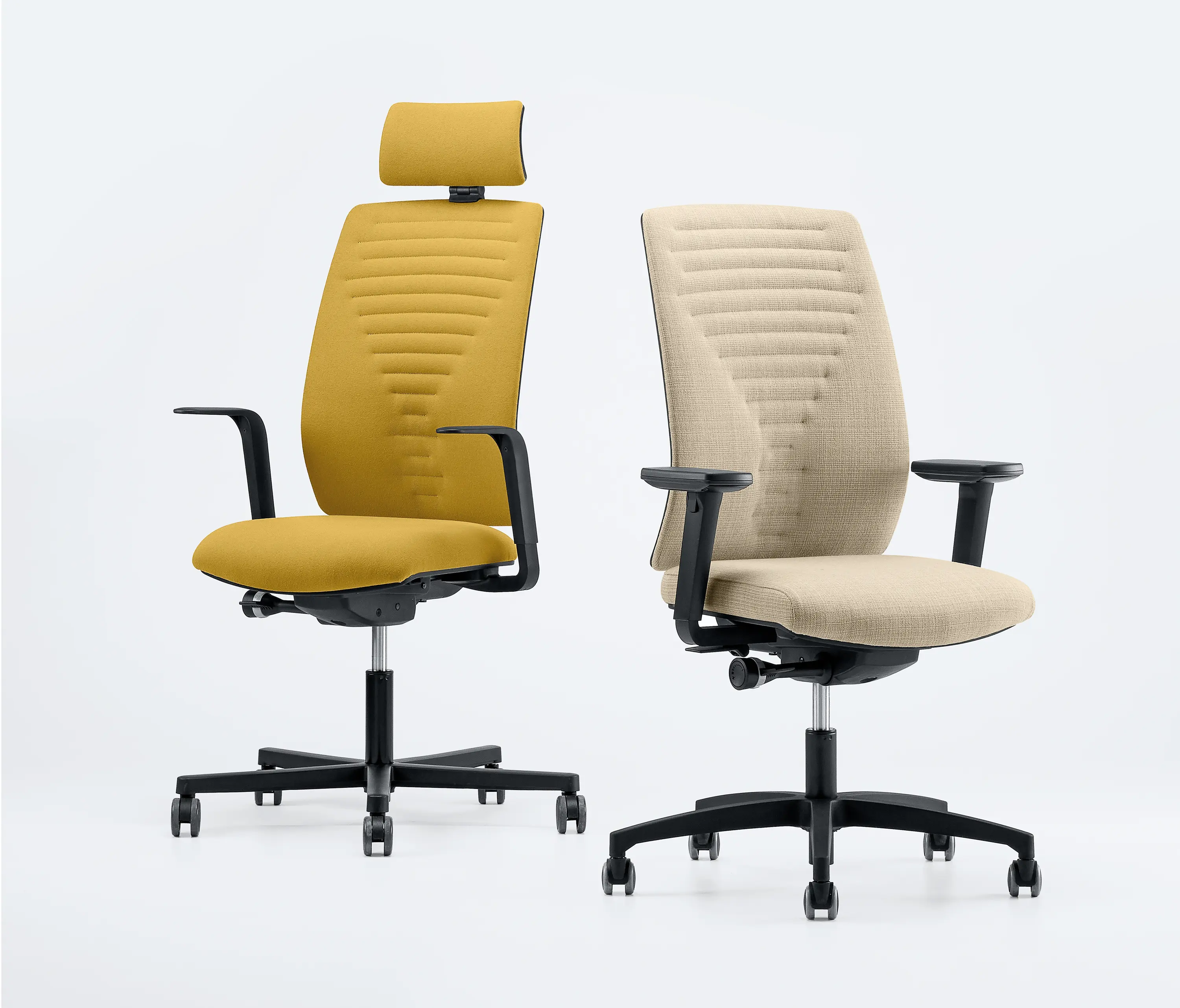 Aresline - Dotway Padded