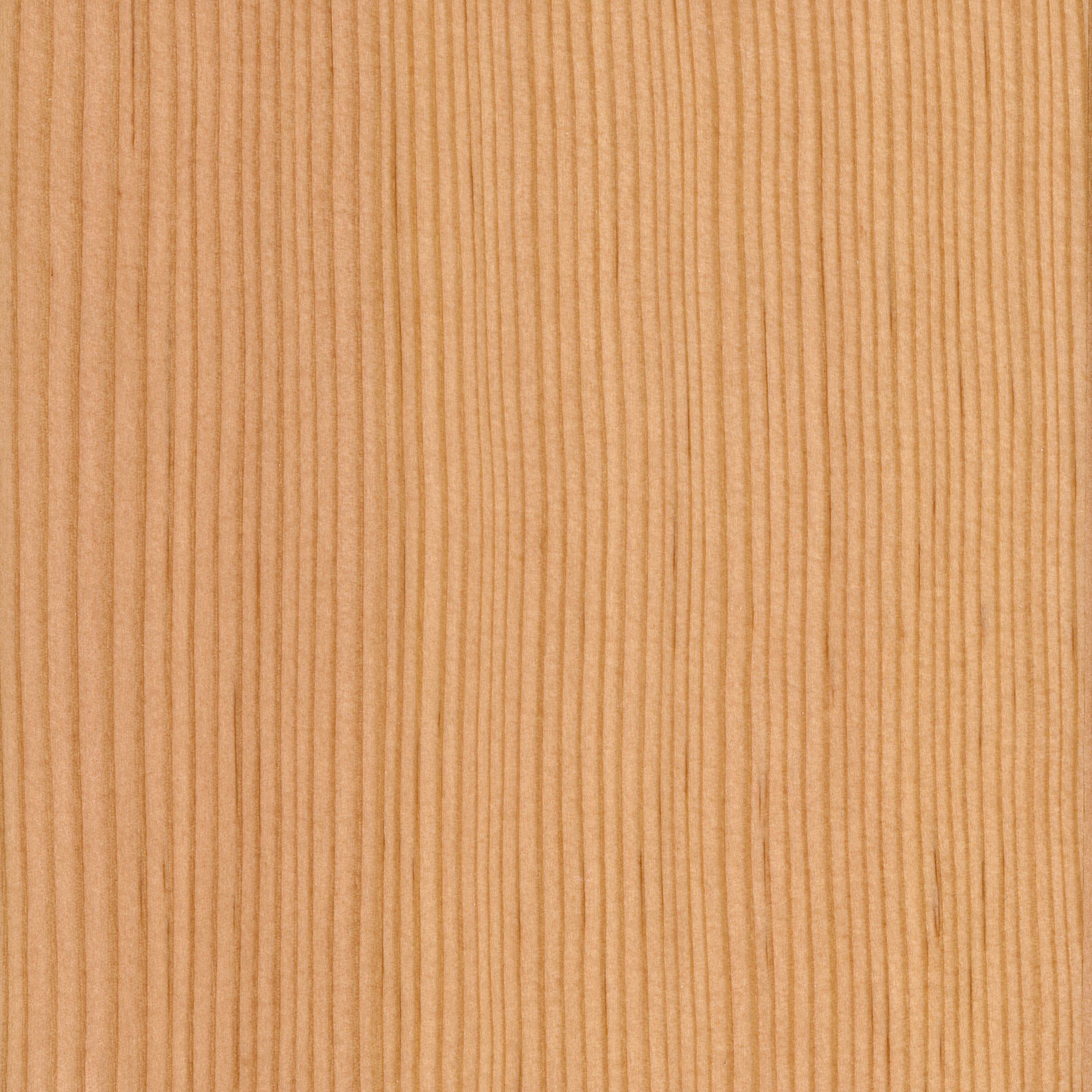 Wood Panels