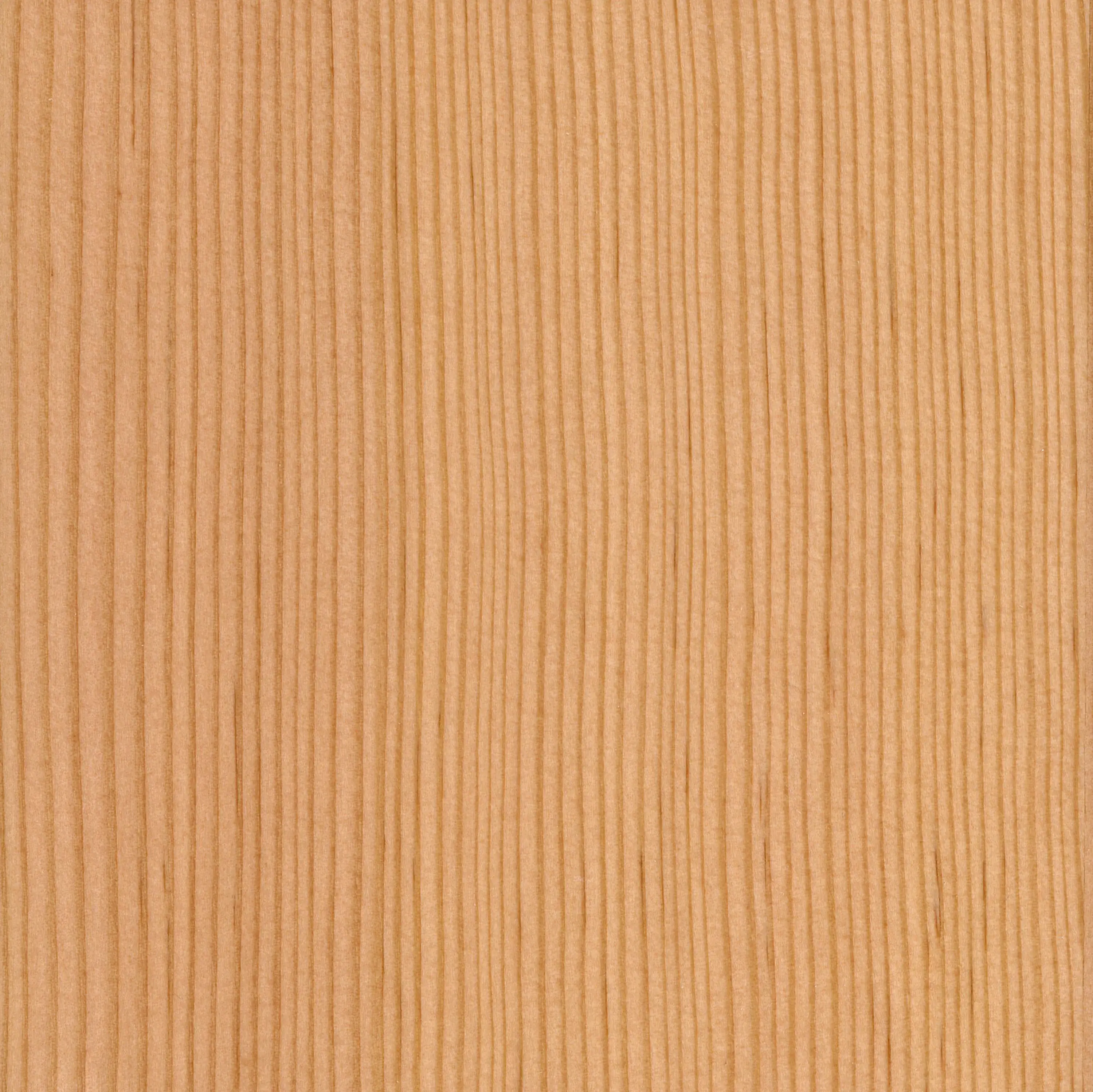 Gustafs - Wood Panels