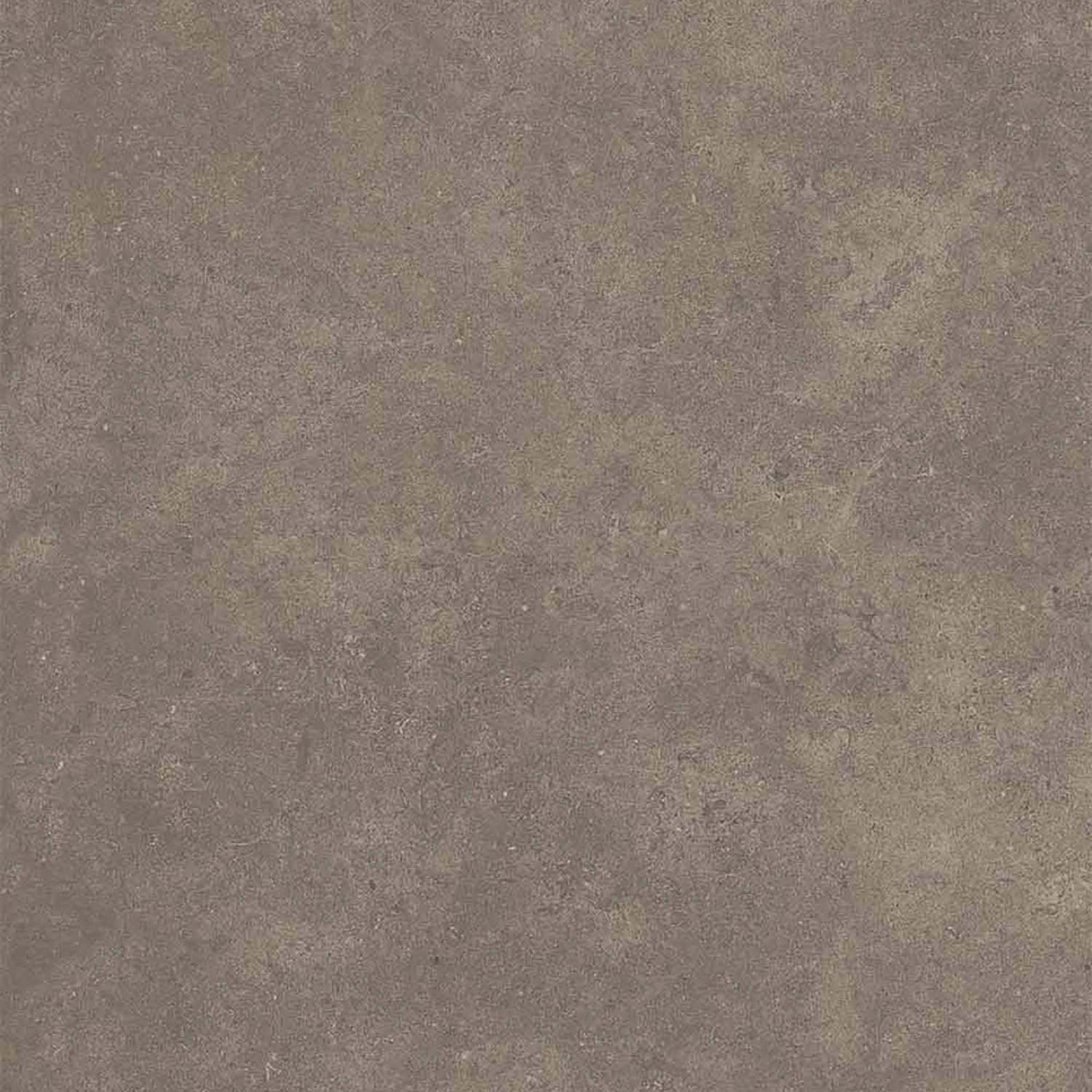 Cement 2.0 Matte Soil Porcelain Tile 60x120